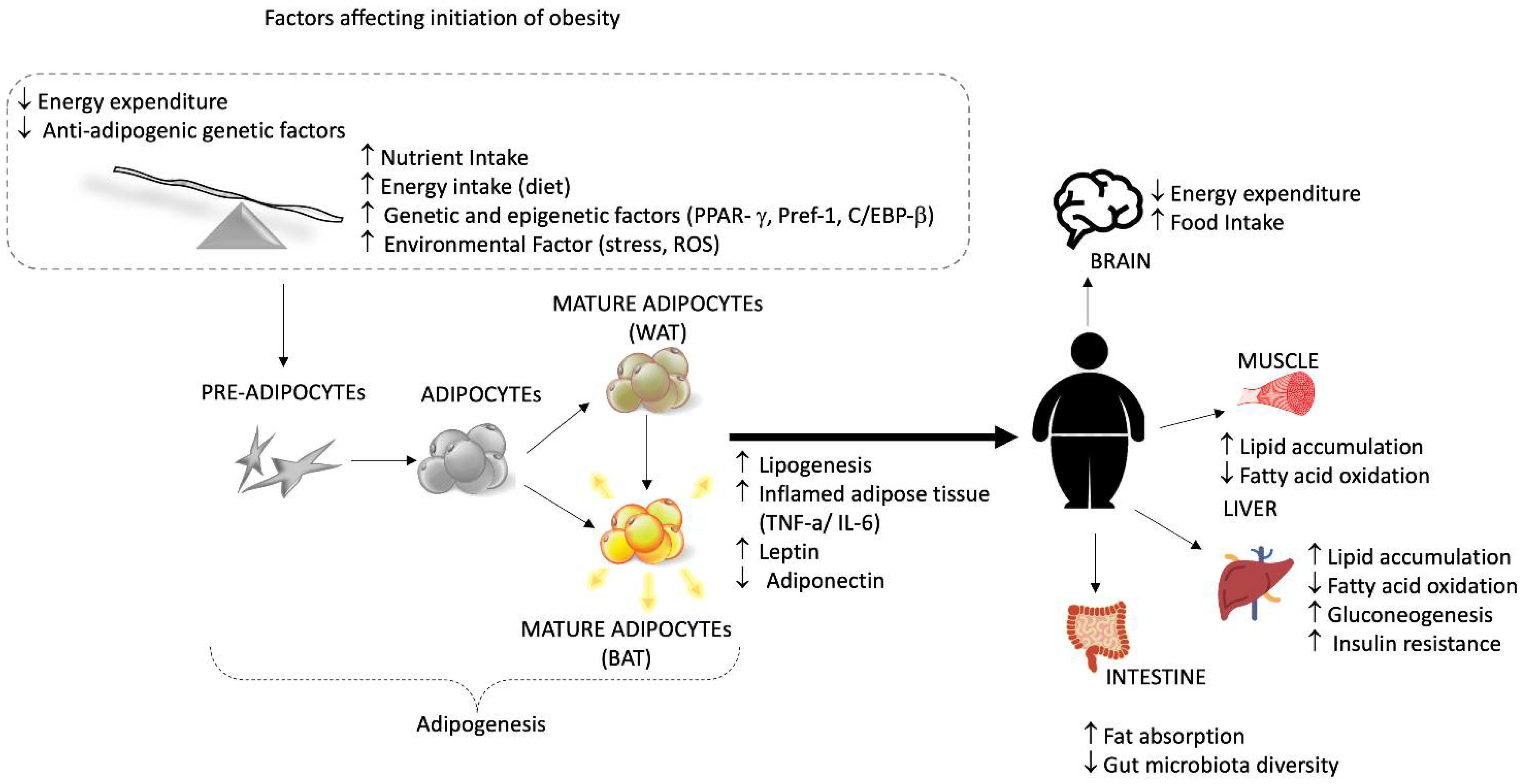 Nutrients 15 00037 g003