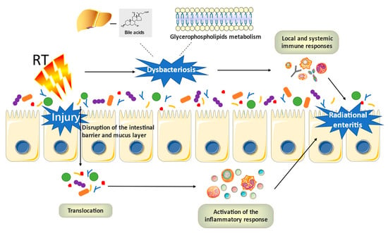 Frontiers  New Insights Into Microbiota Modulation-Based