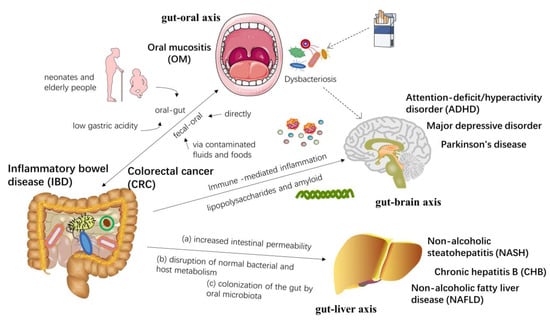 Frontiers  New Insights Into Microbiota Modulation-Based