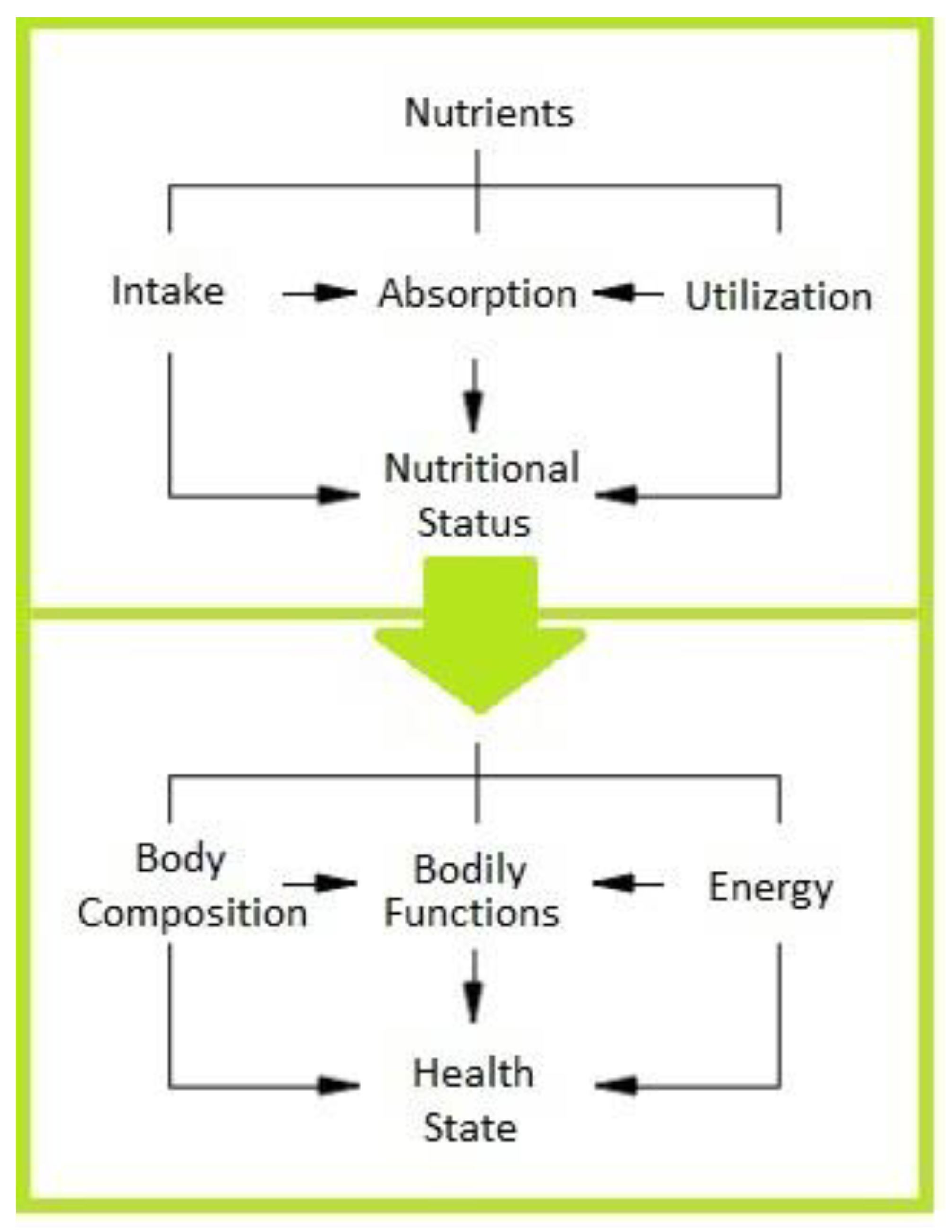 Nutrients 15 00108 g001 Nutrients 15 00108 g001