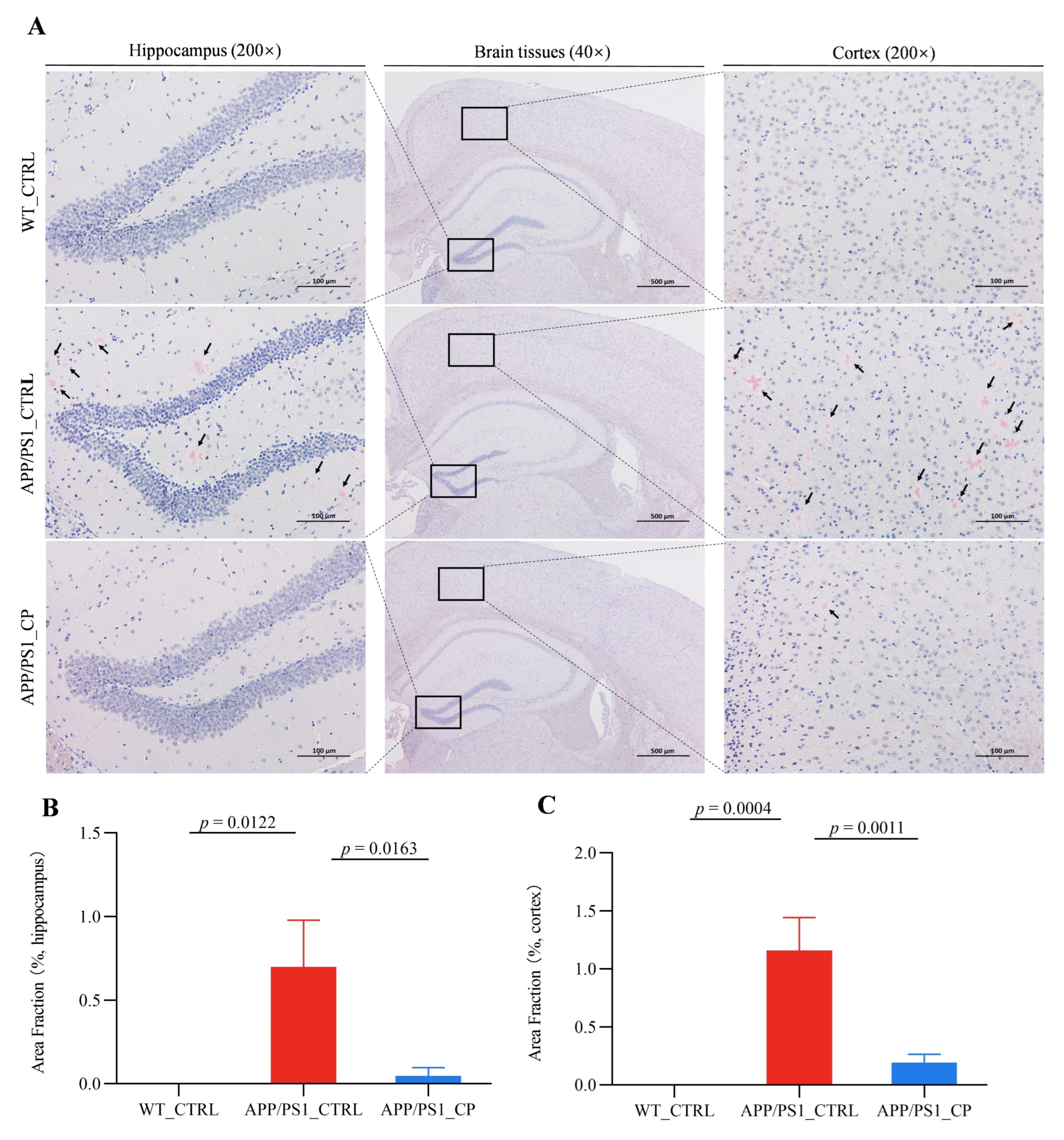 Nutrients 15 00118 g002 Nutrients 15 00118 g002