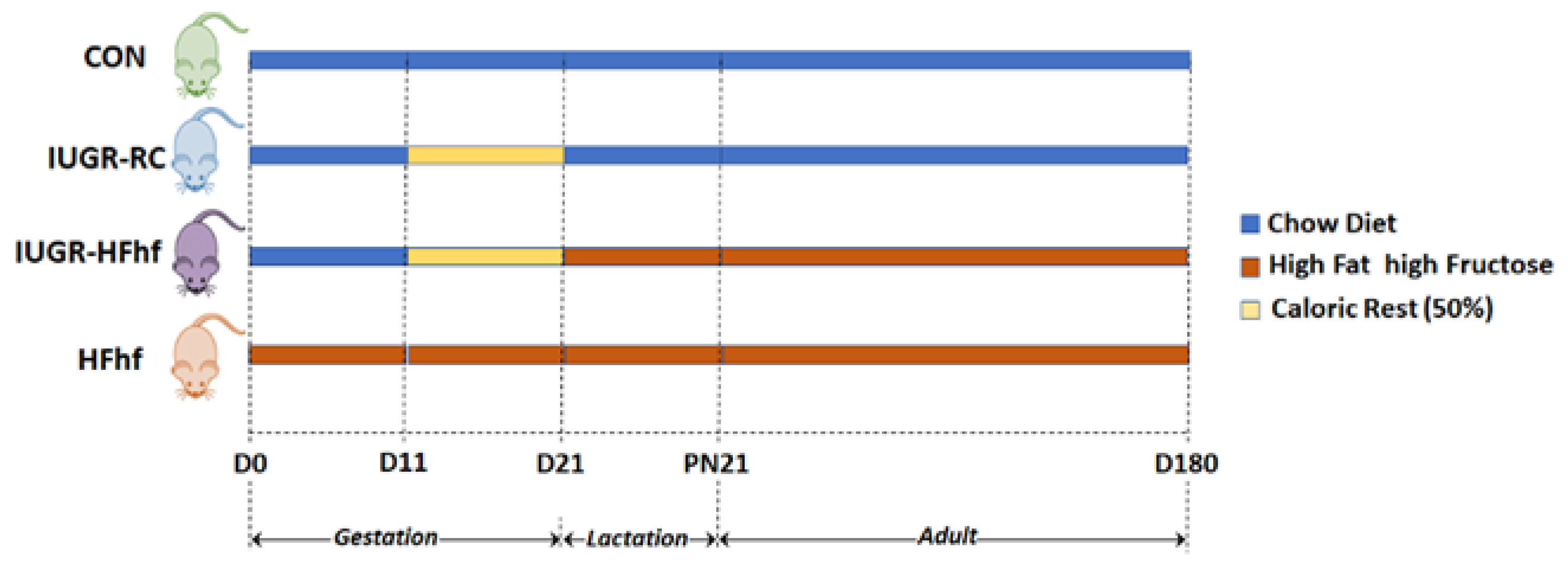 Nutrients 15 00217 g001