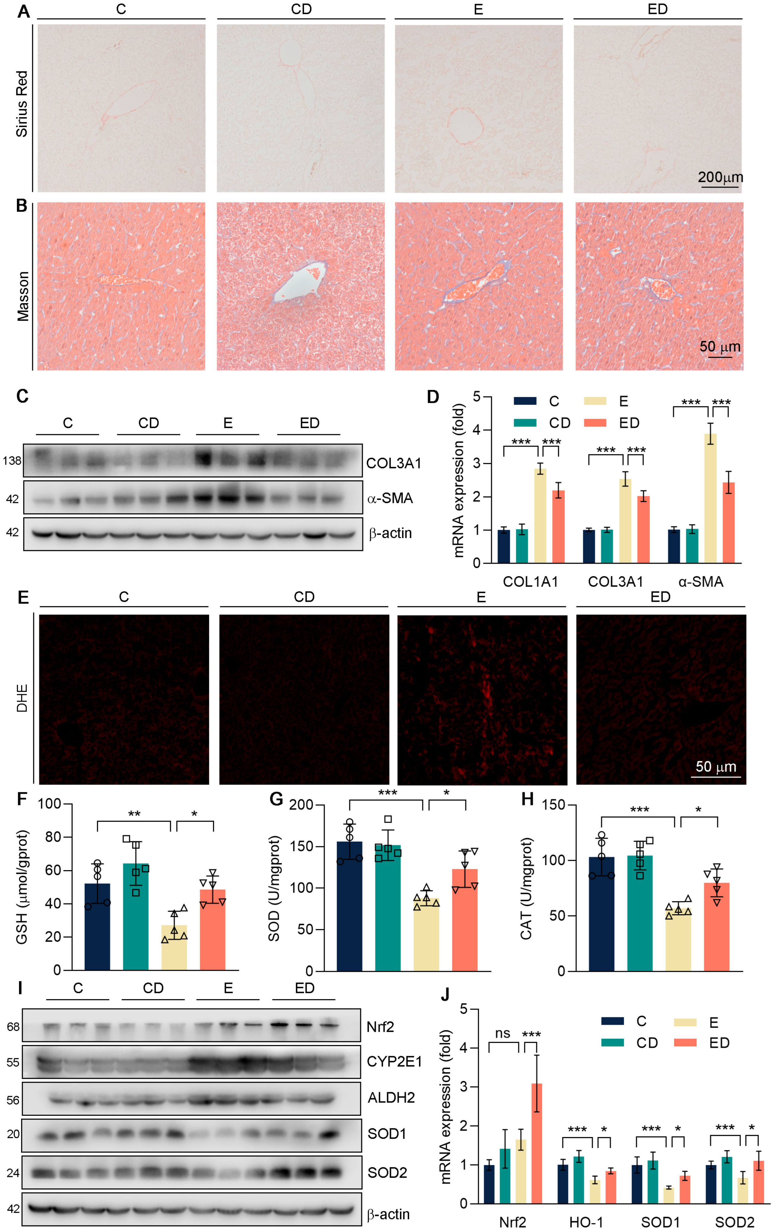 Nutrients 15 00223 g002 Nutrients 15 00223 g002