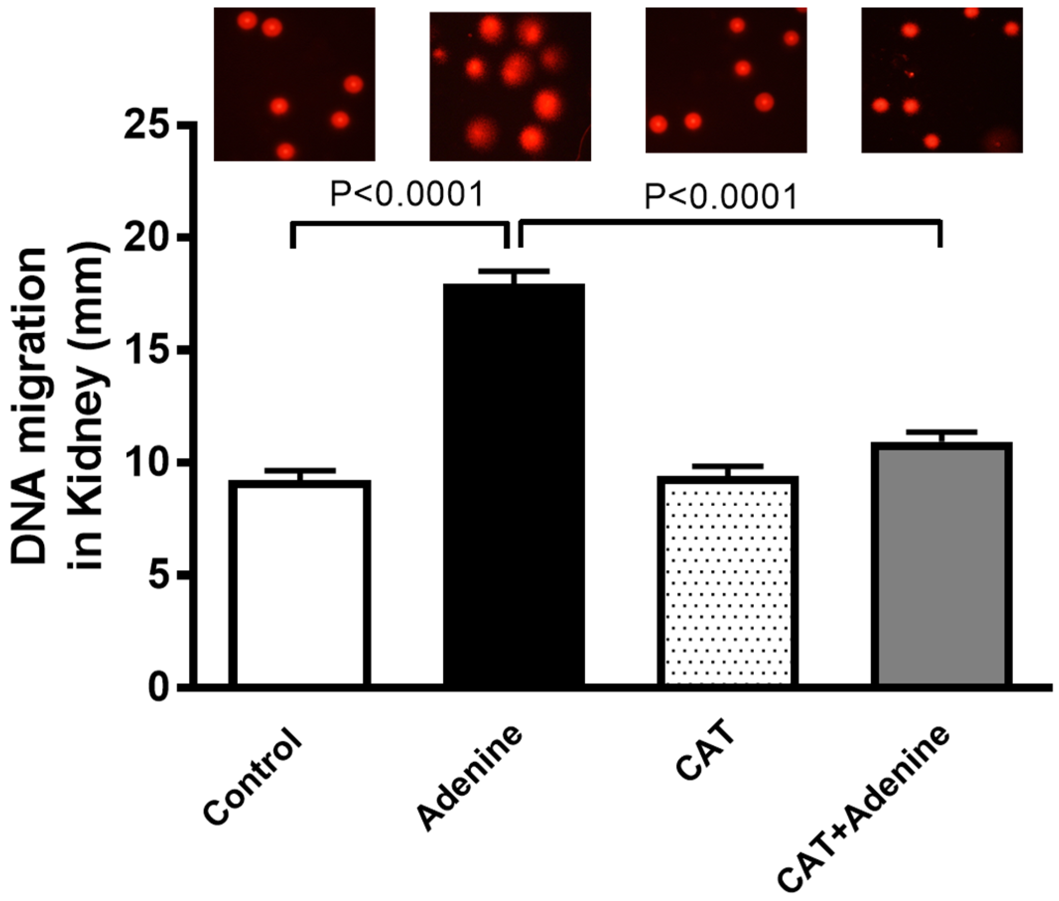 Nutrients 15 00237 g004