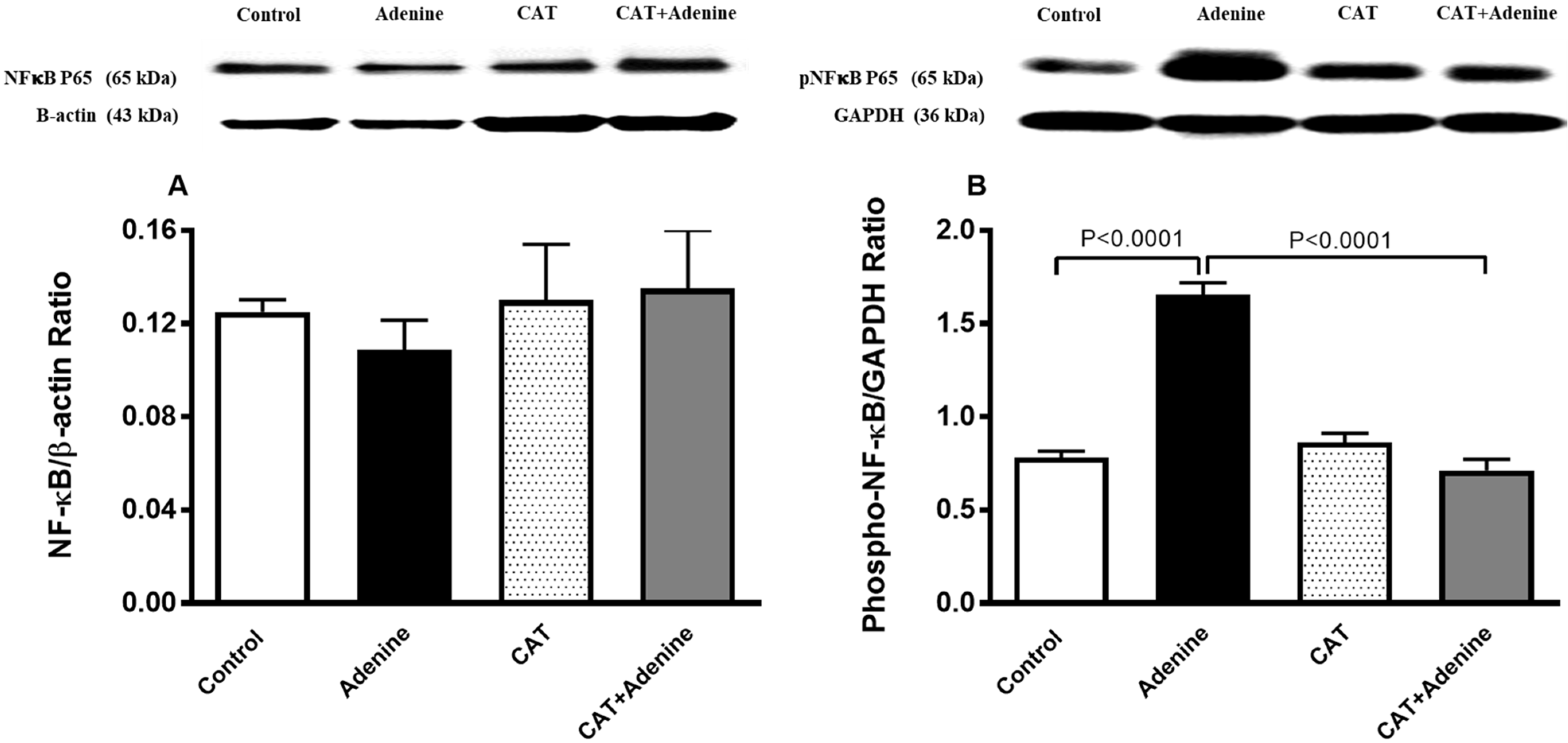 Nutrients 15 00237 g006