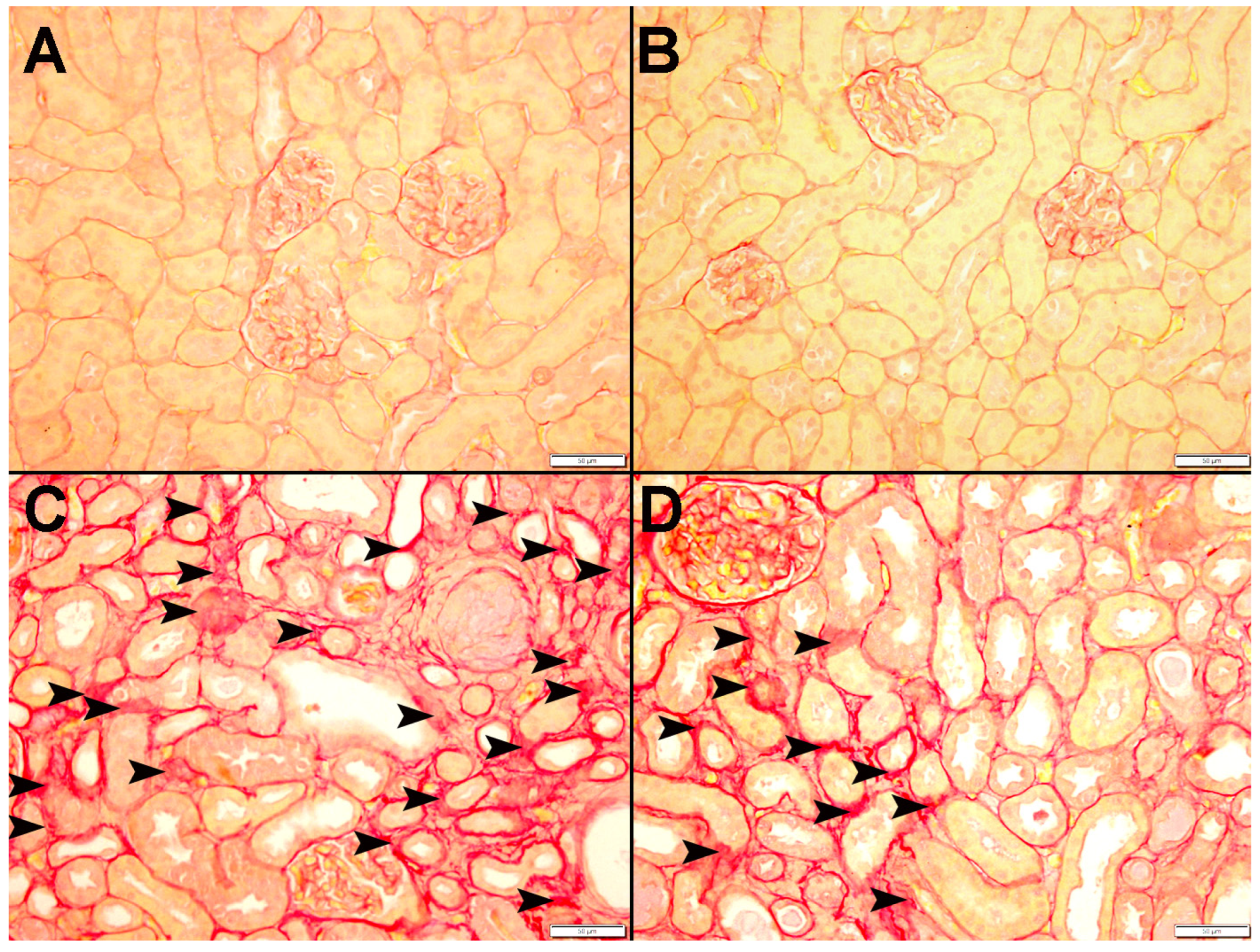 Nutrients 15 00237 g010