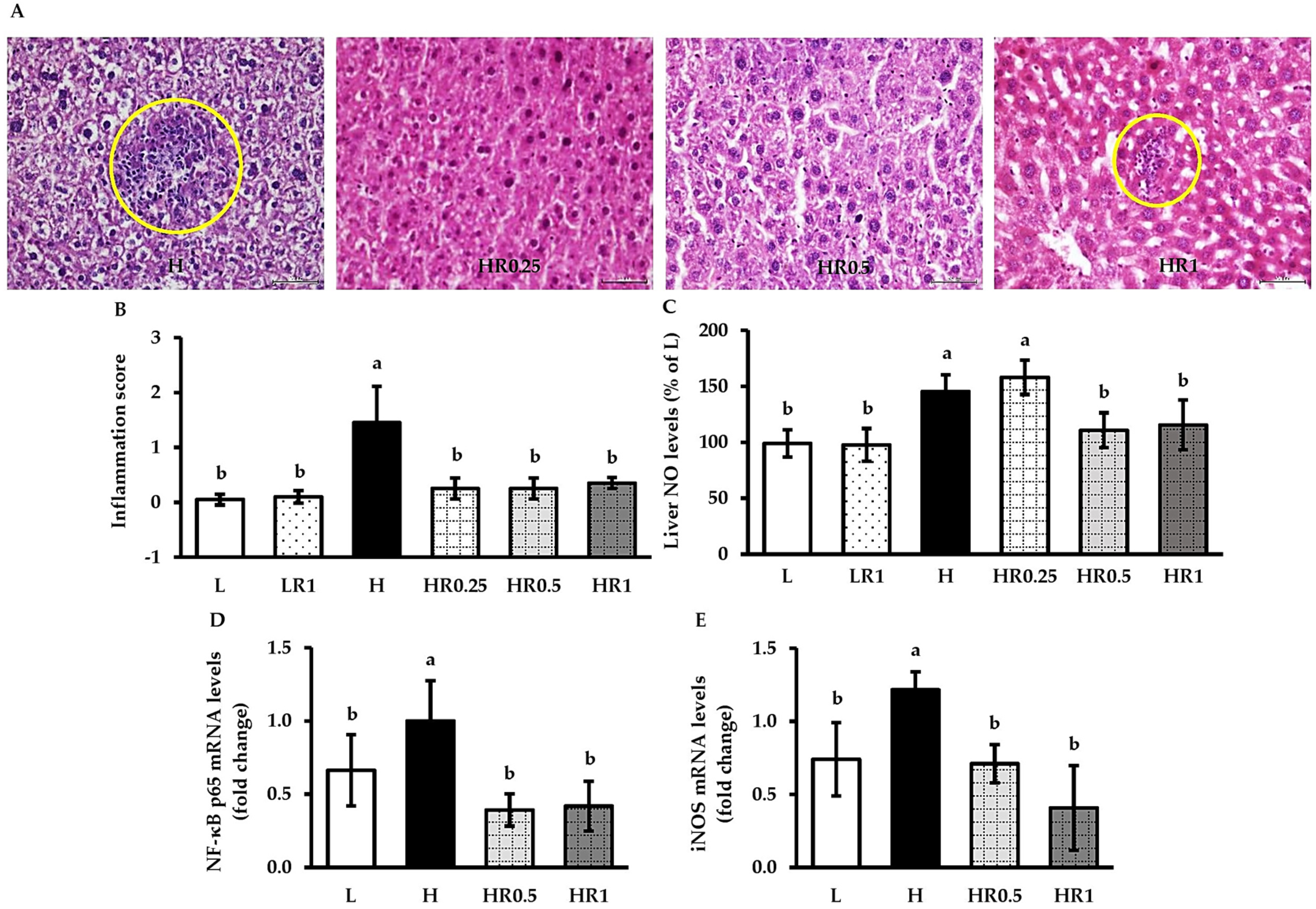 Nutrients 15 00246 g004