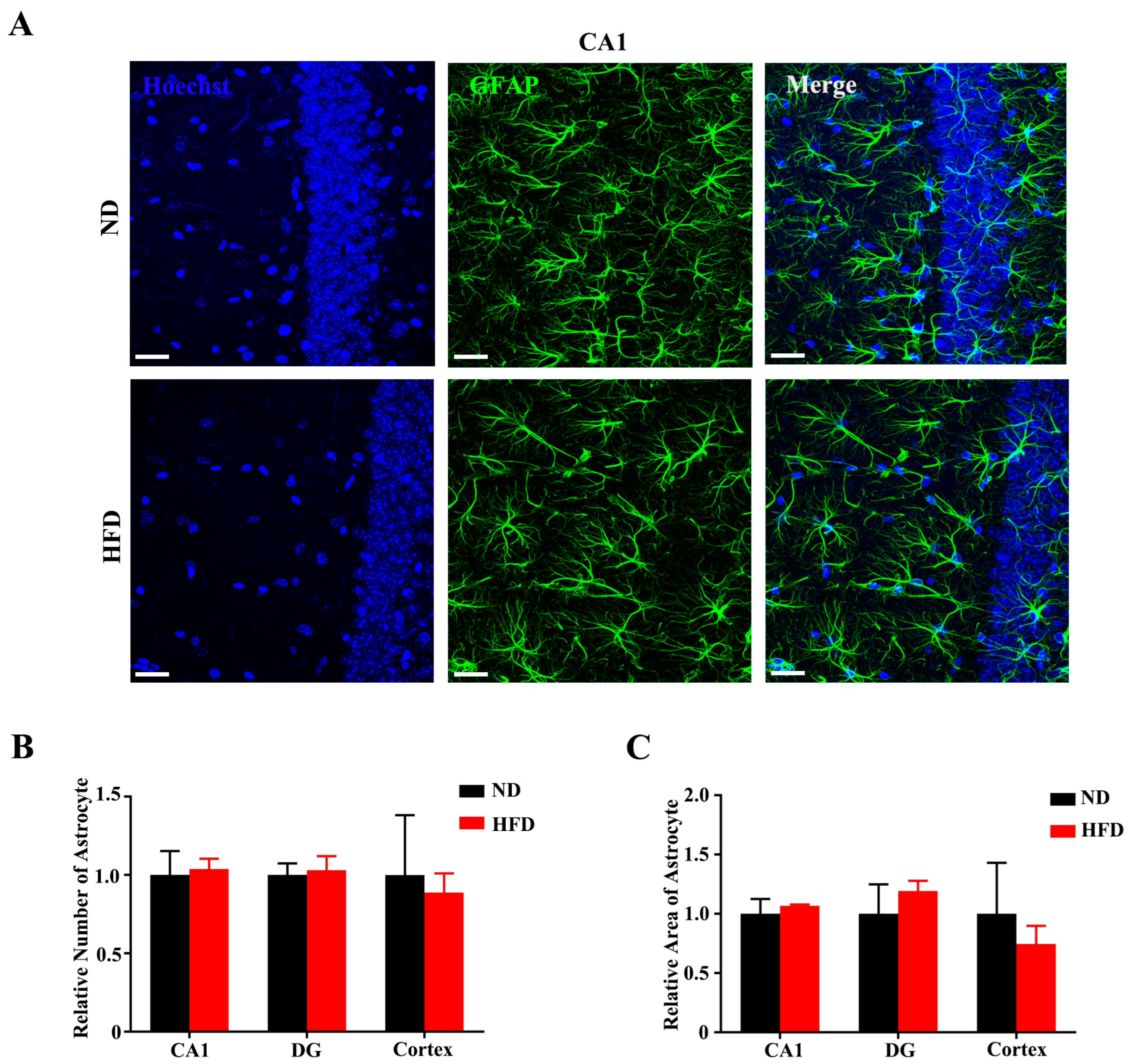 Nutrients 15 00250 g007
