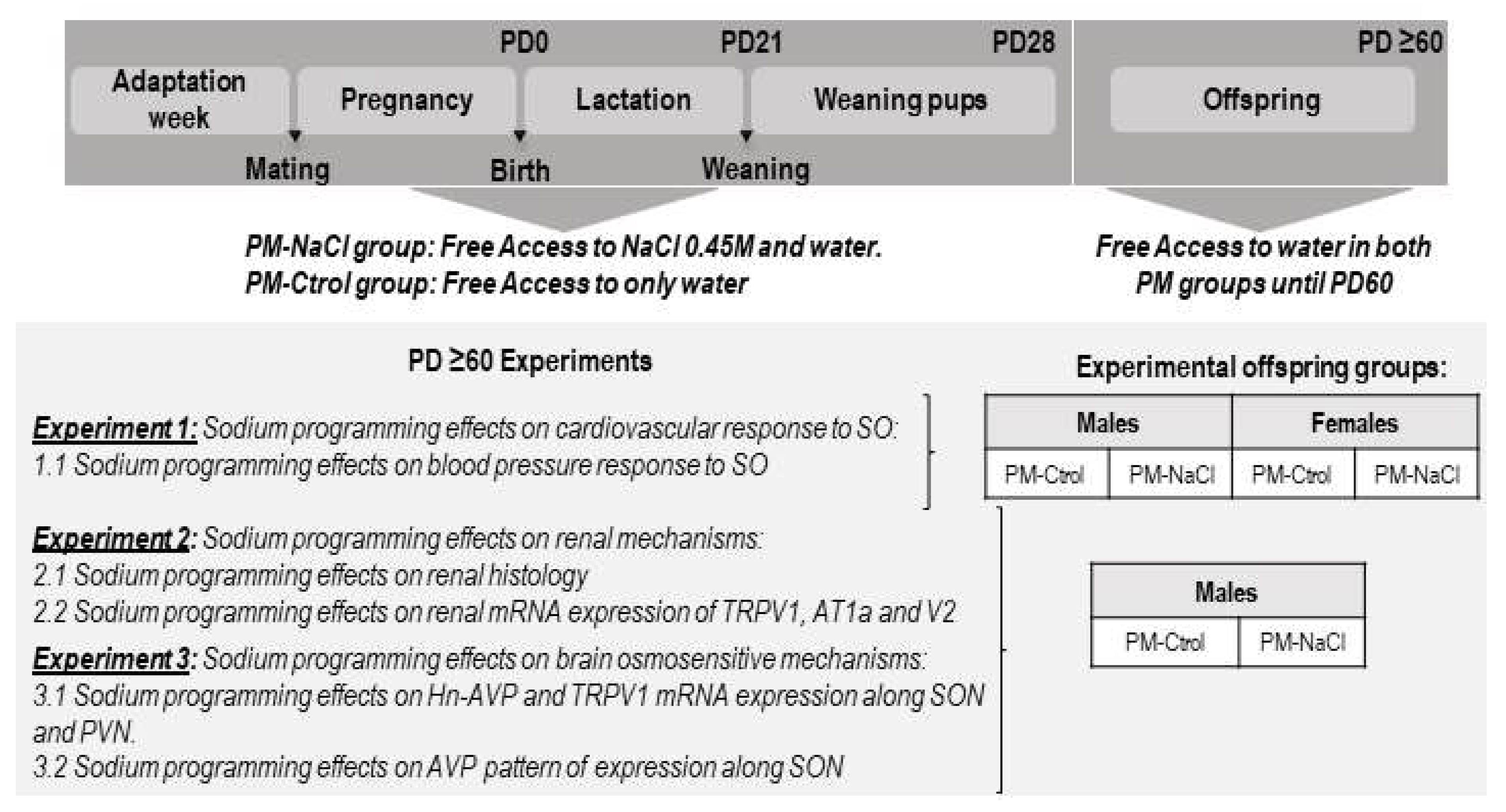Nutrients 15 00254 g001