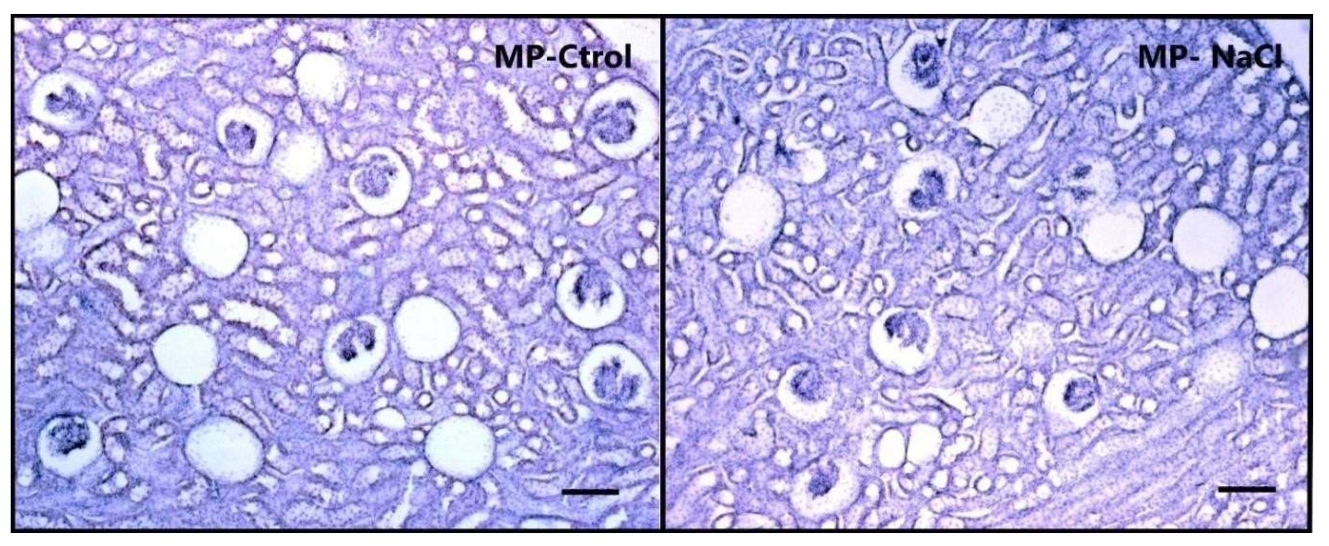 Nutrients 15 00254 g003