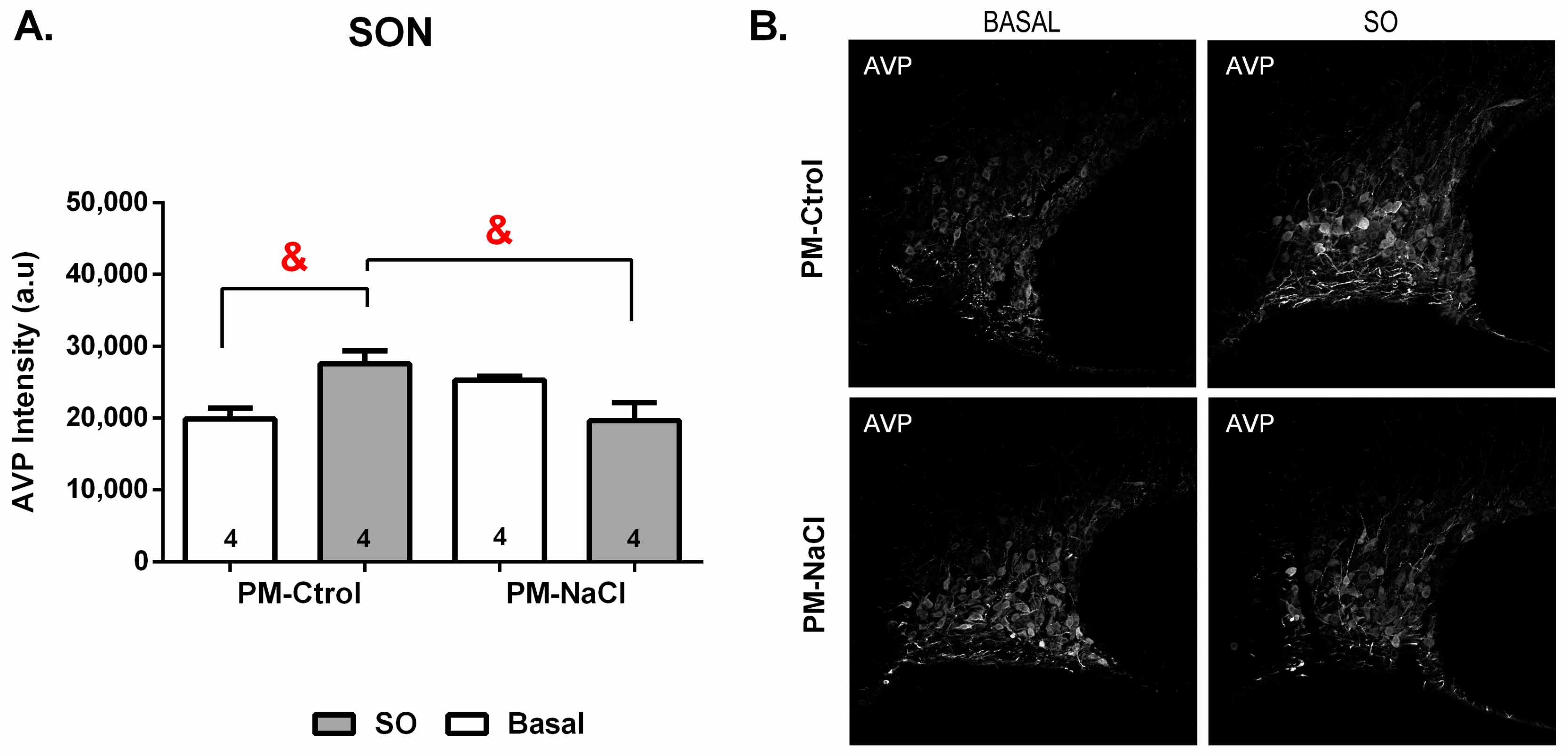 Nutrients 15 00254 g006