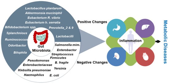 Nutrients | Free Full-Text | Gut Microbiota And Time-Restricted Feeding ...