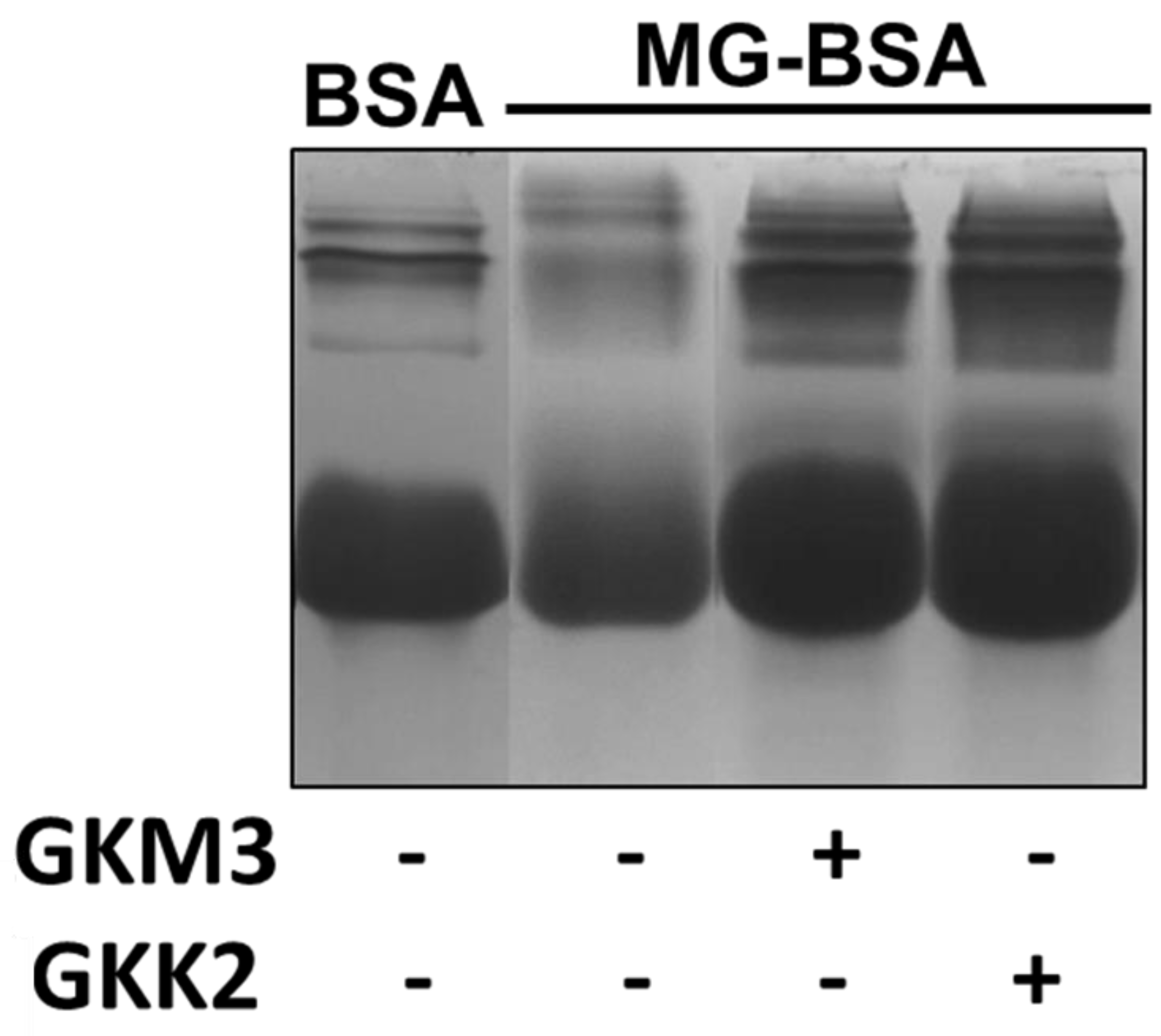 Nutrients 15 00277 g002 Nutrients 15 00277 g002