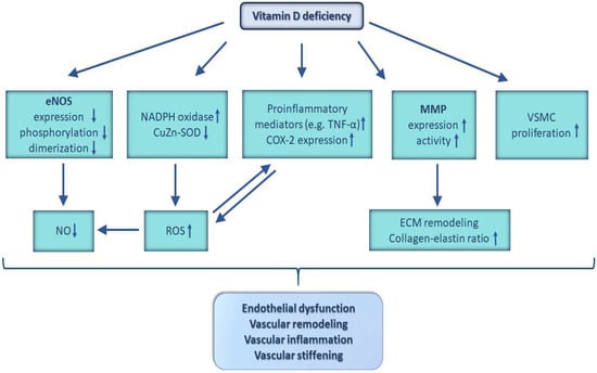 Nutrients | Free Full-Text | Role of Vitamin D Deficiency in the ...