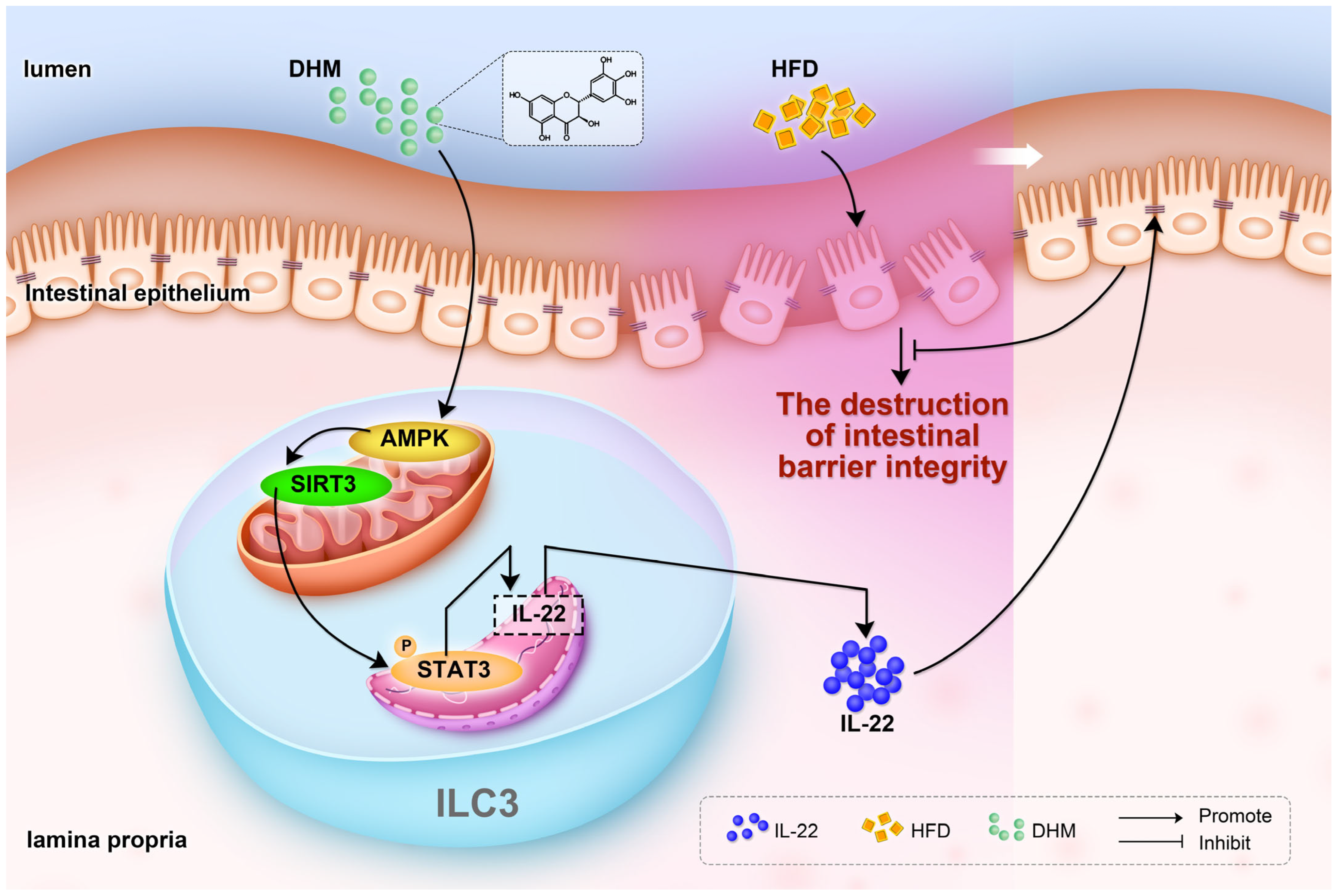 Nutrients 15 00355 g006