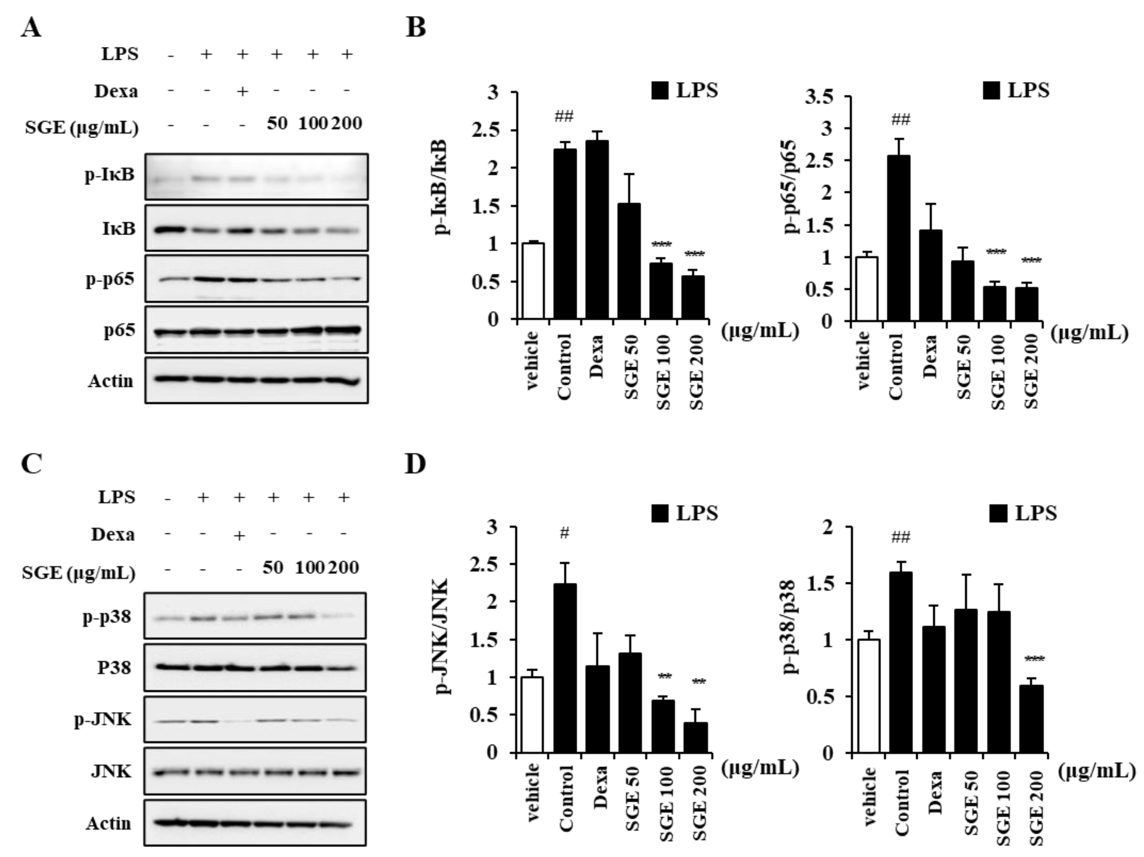 Nutrients 15 00468 g002 Nutrients 15 00468 g002