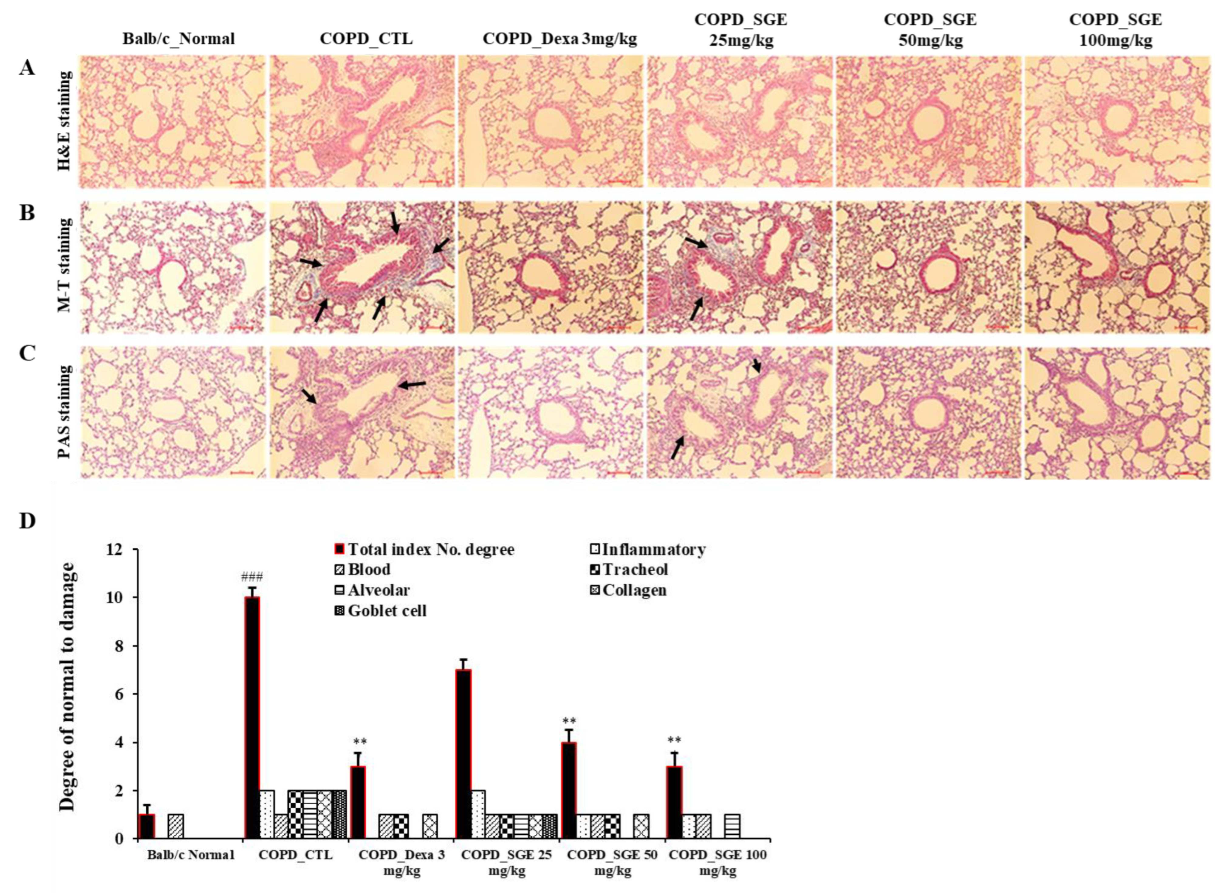 Nutrients 15 00468 g006 Nutrients 15 00468 g006