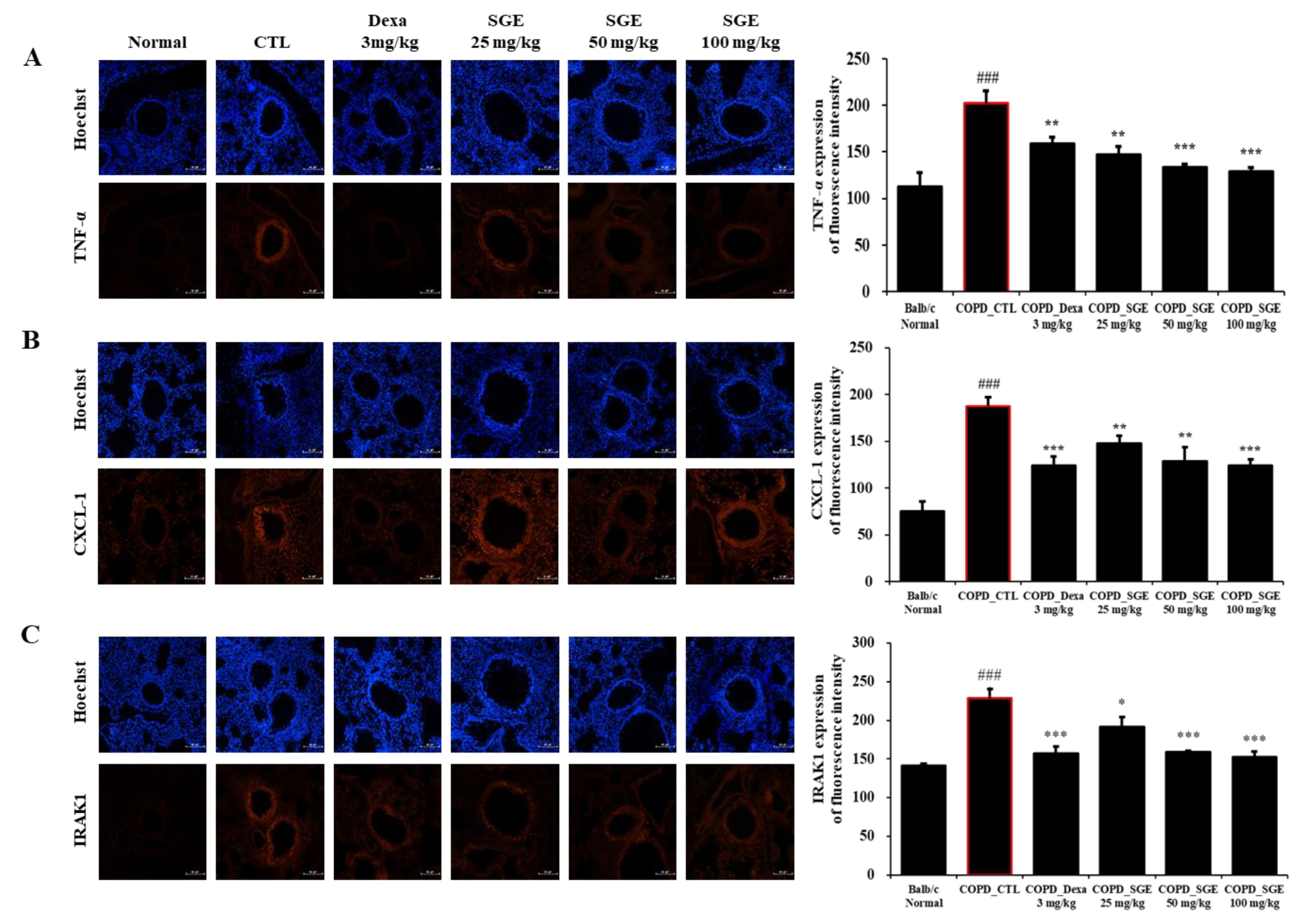 Nutrients 15 00468 g007 Nutrients 15 00468 g007