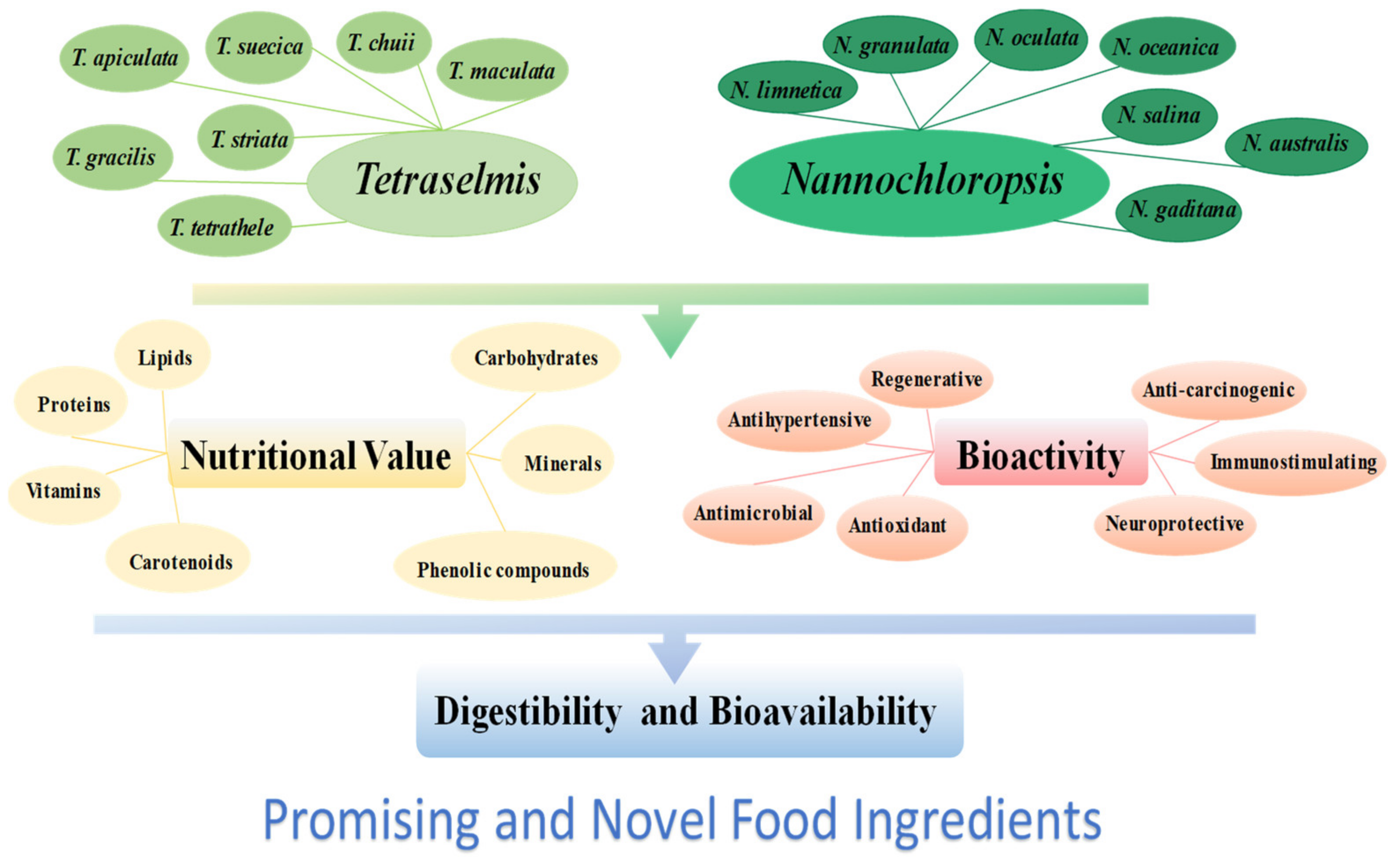 Nutrients Free Full Text Bioactivity and Digestibility of