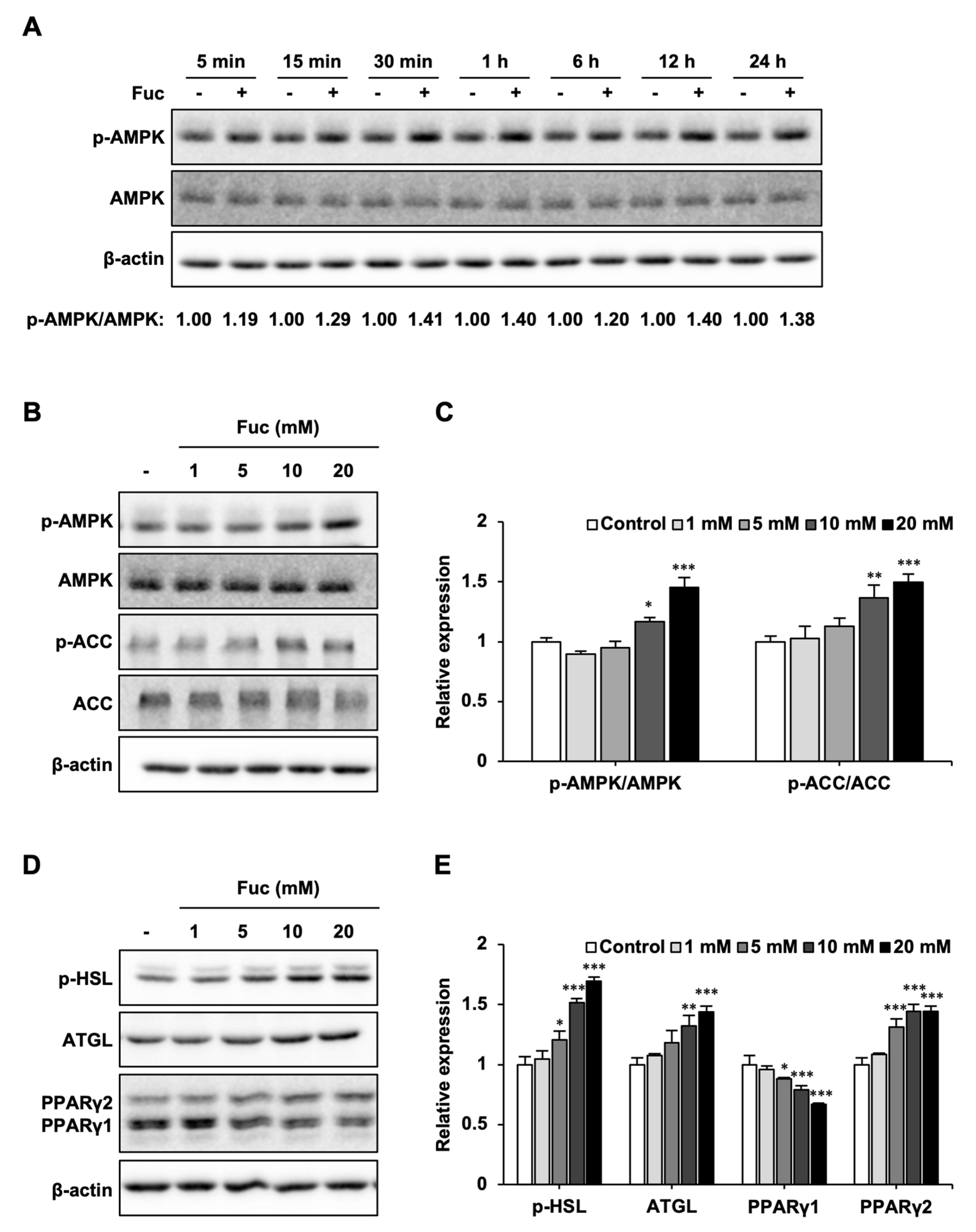 Nutrients 15 00503 g002