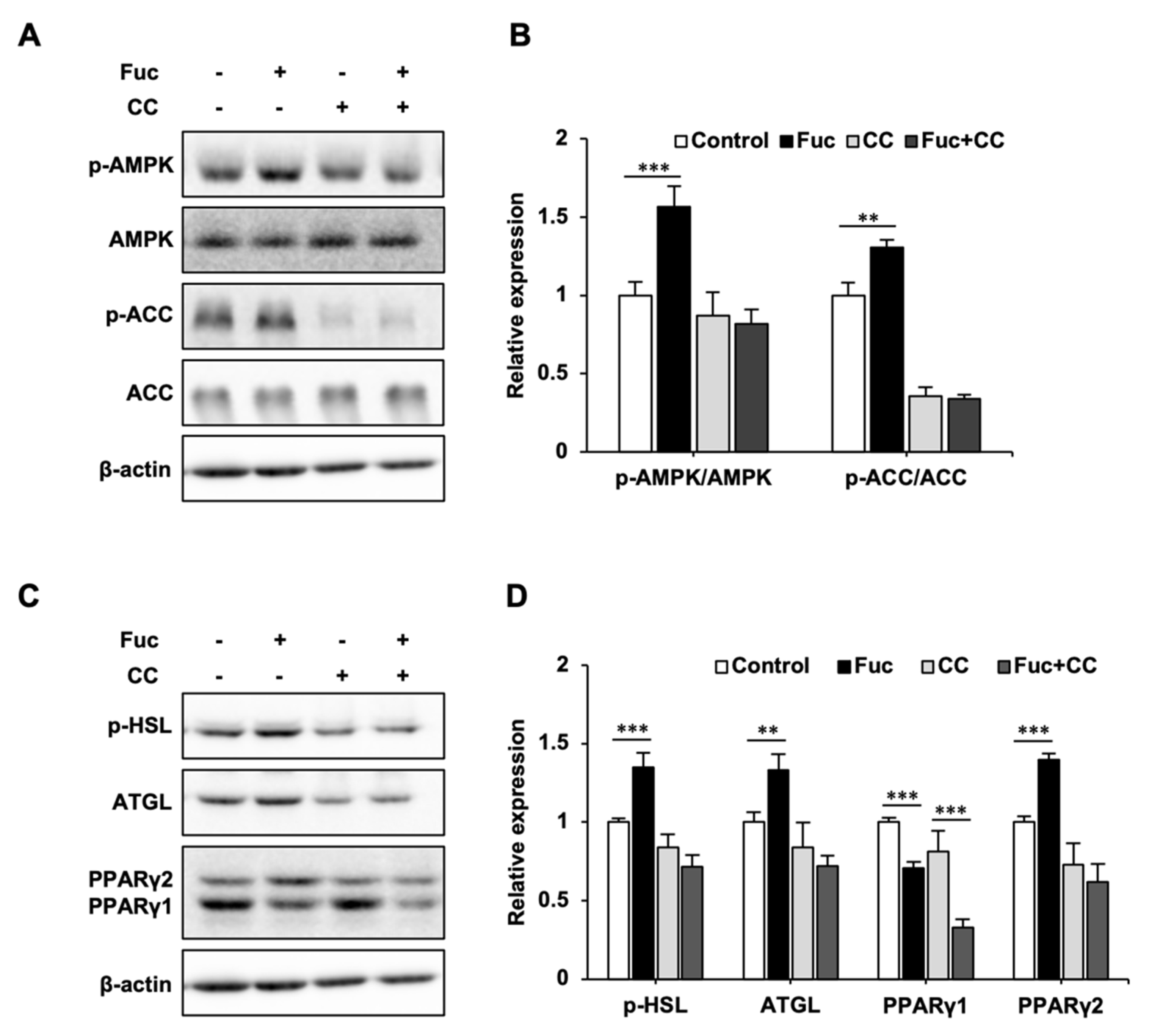 Nutrients 15 00503 g003