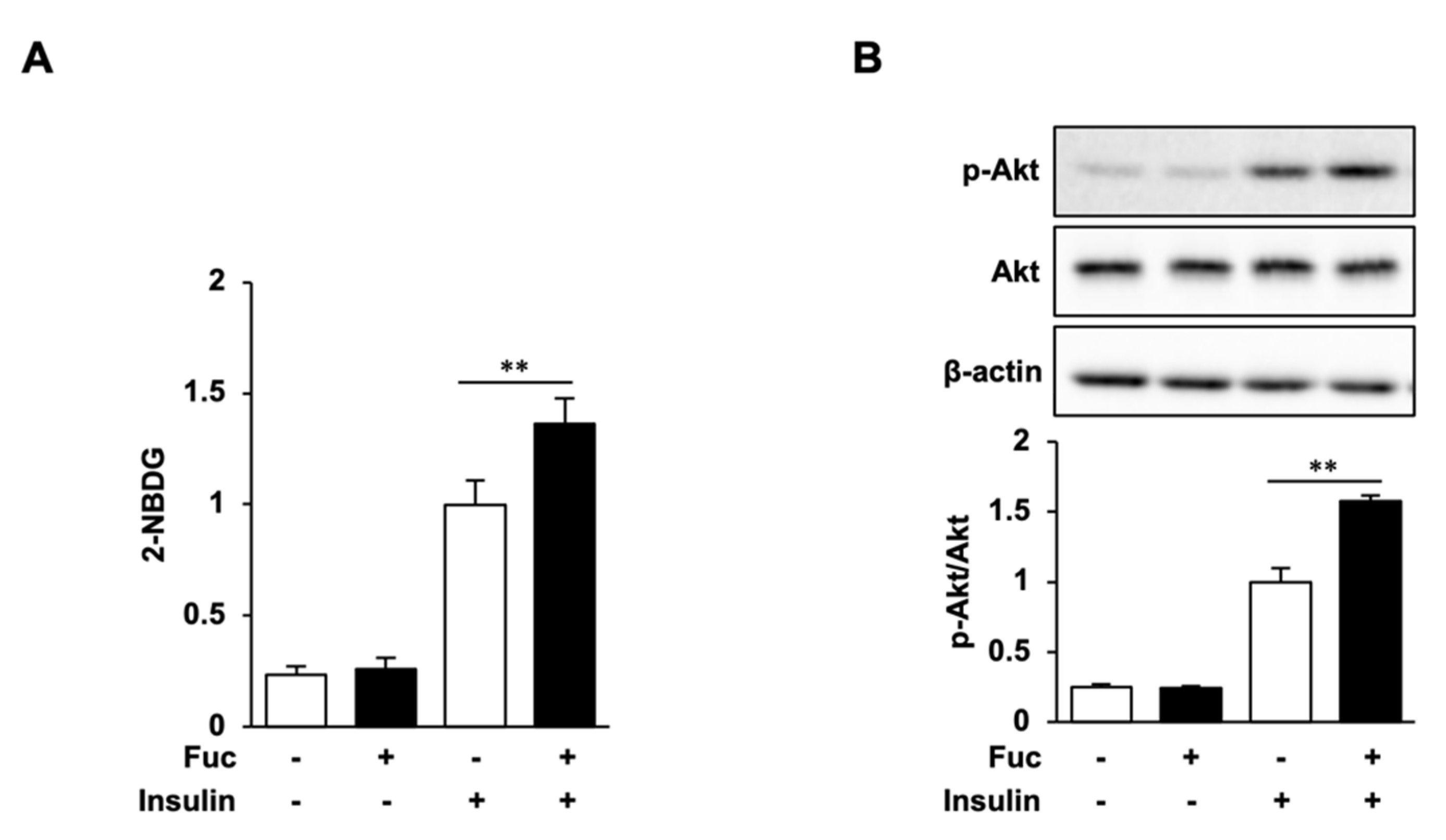 Nutrients 15 00503 g004
