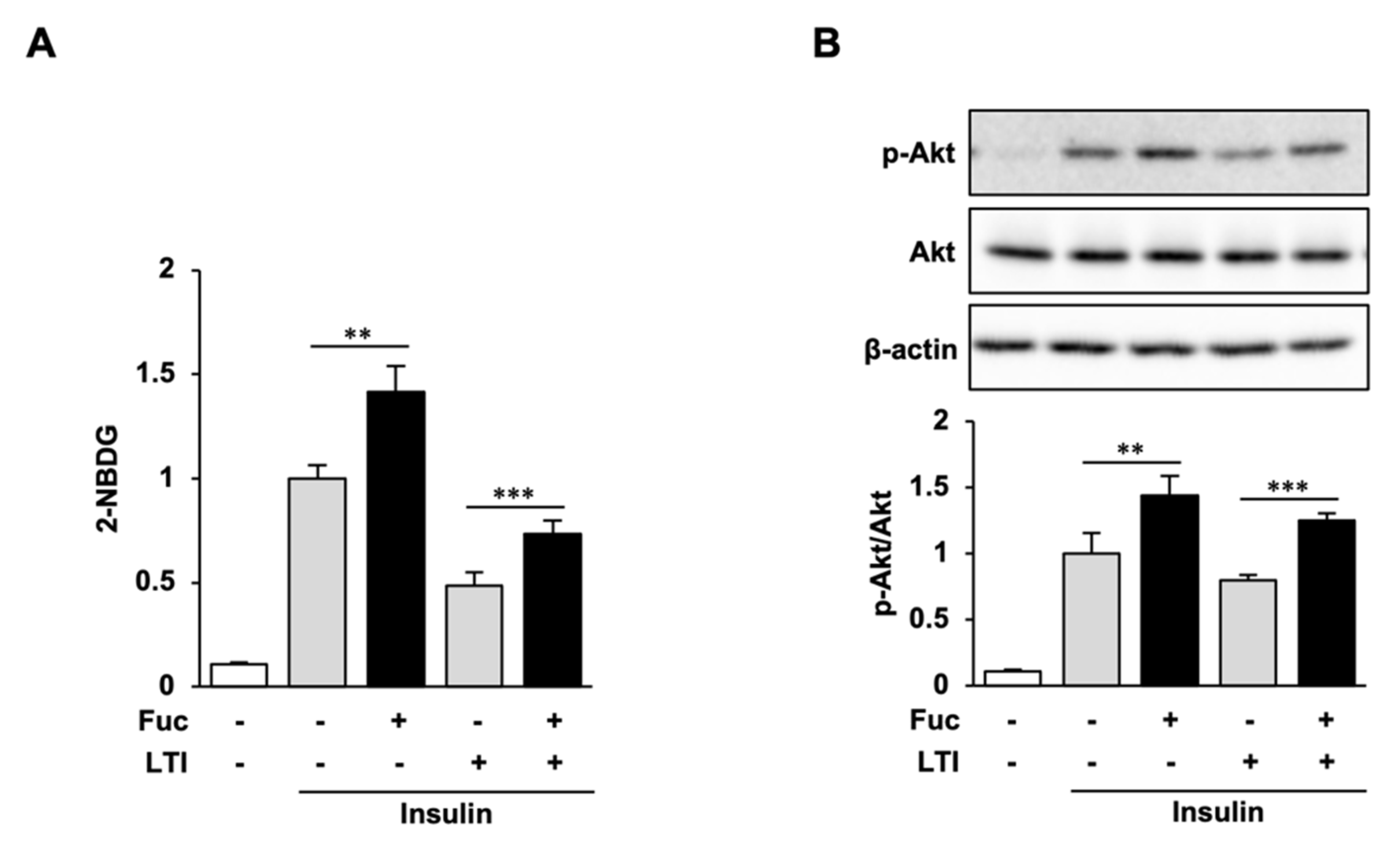 Nutrients 15 00503 g005