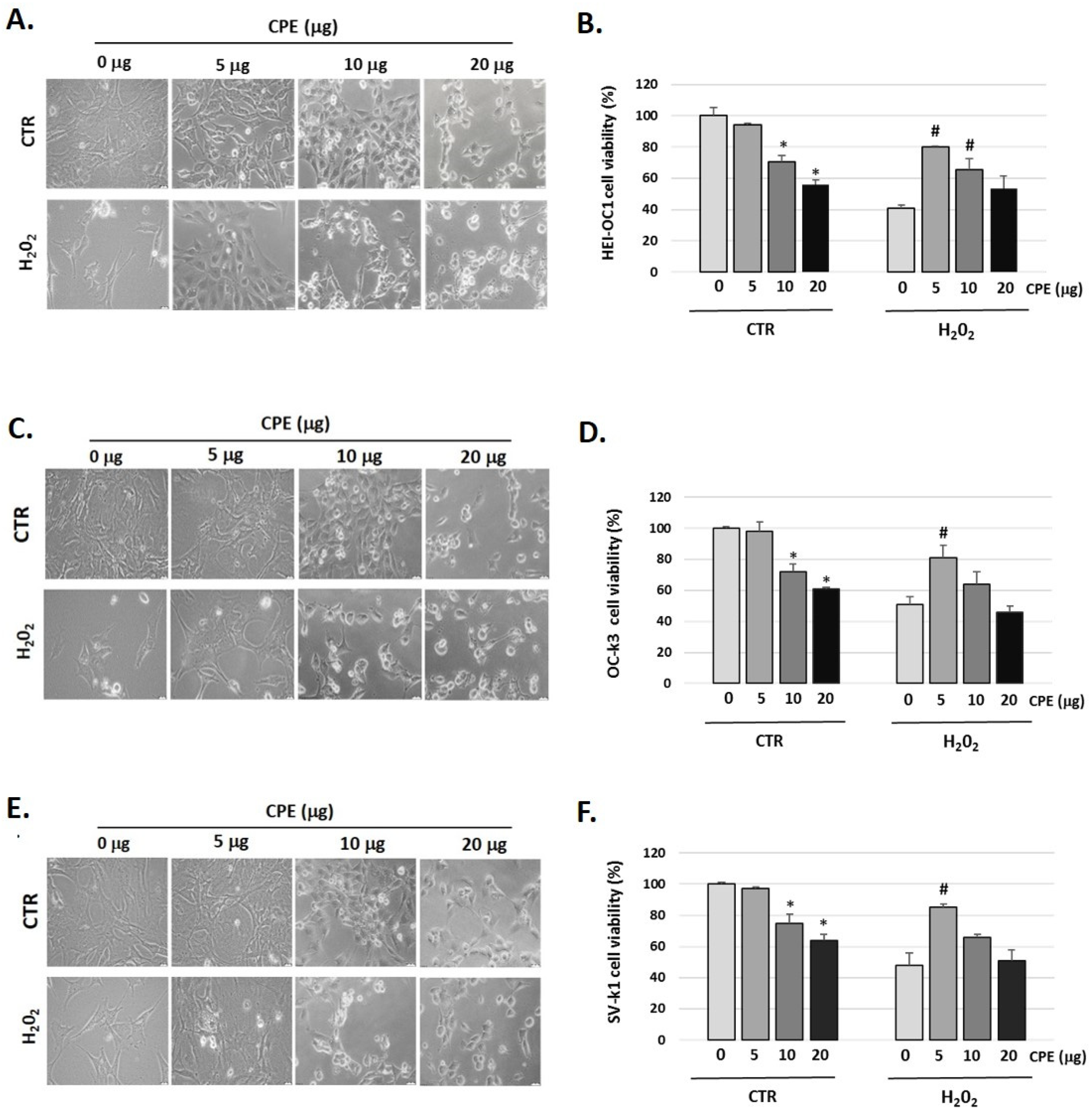 Nutrients 15 00544 g001