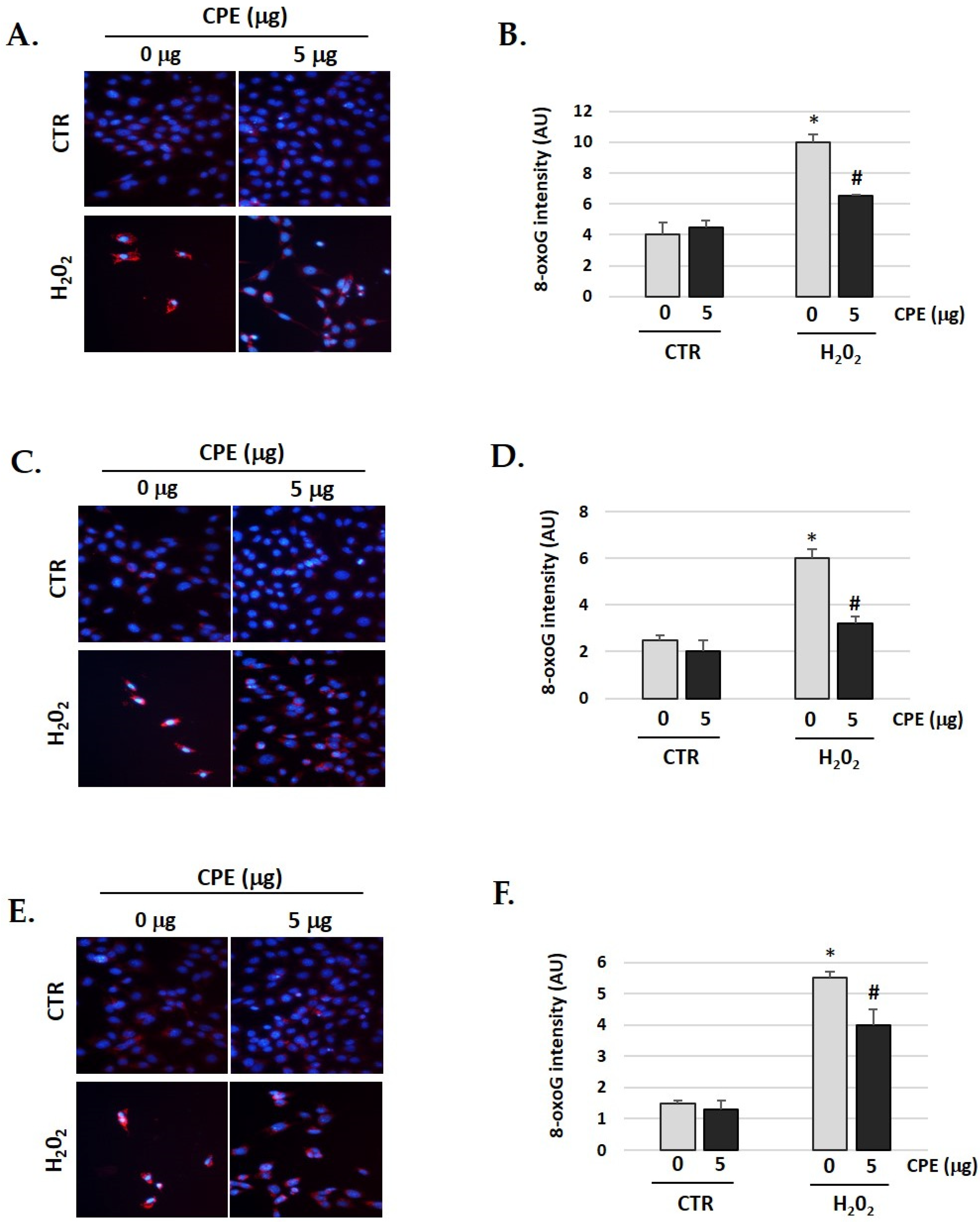 Nutrients 15 00544 g009