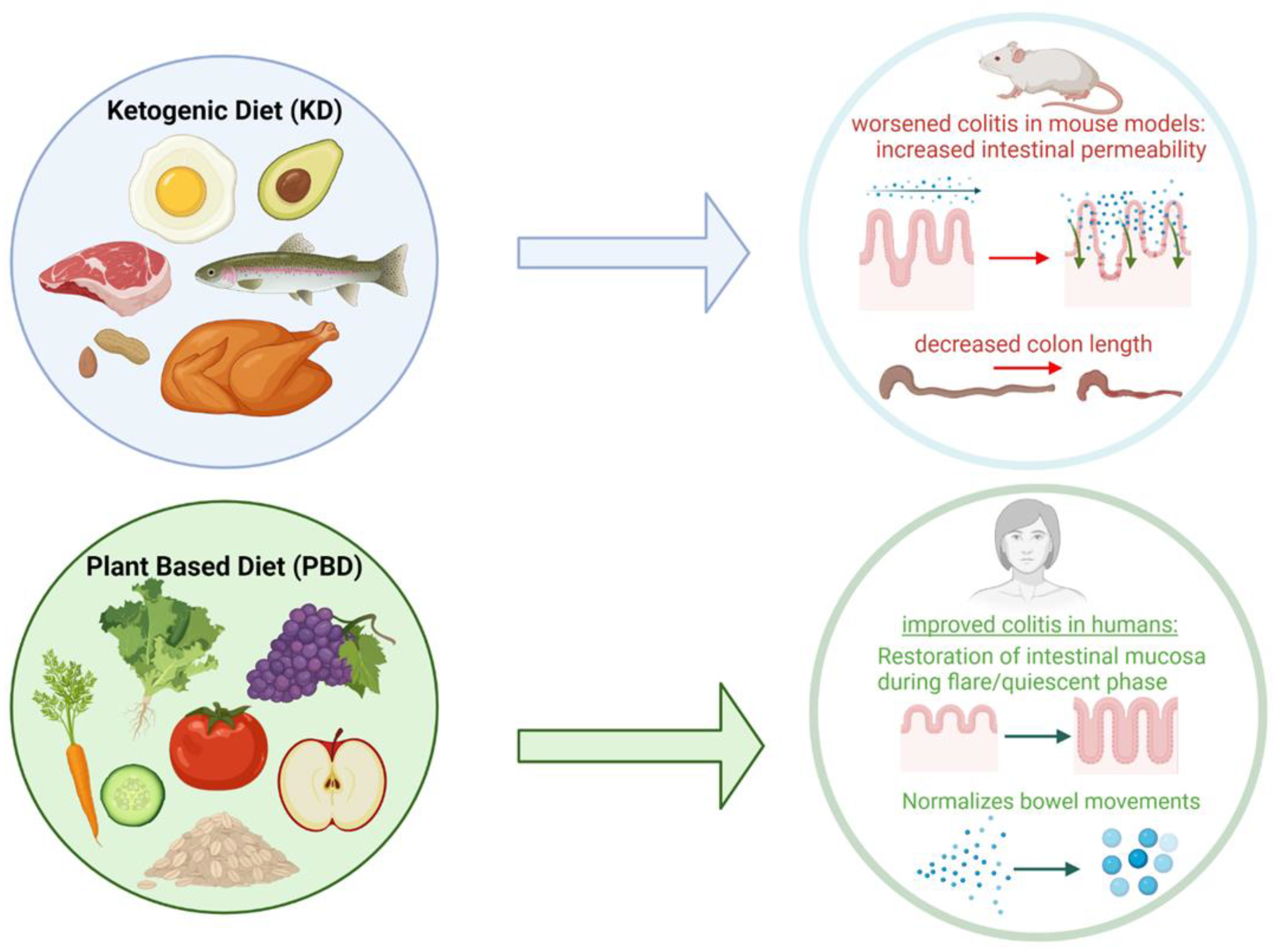 Nutrients 15 00579 g004 Nutrients 15 00579 g004