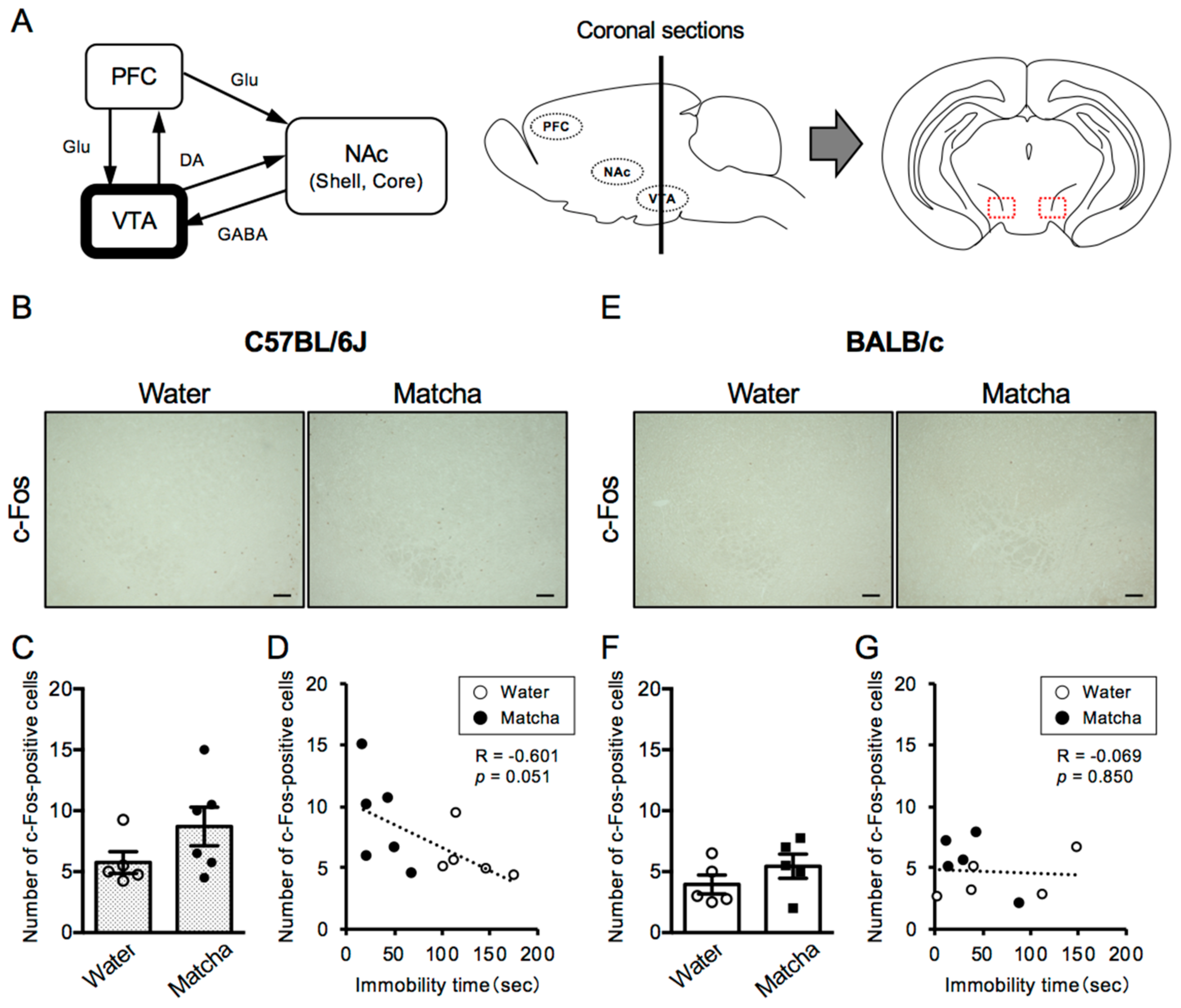 Nutrients 15 00581 g003
