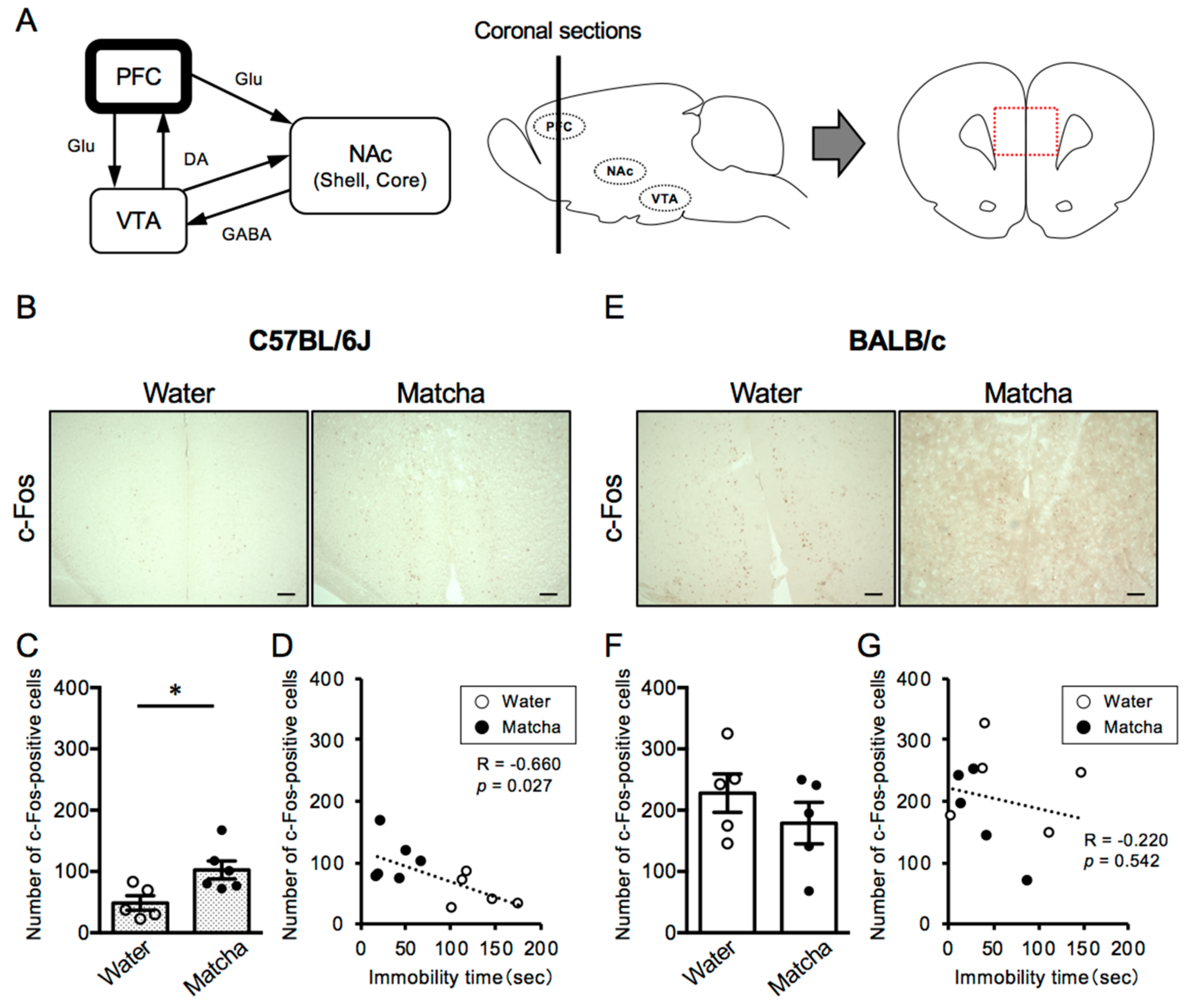 Nutrients 15 00581 g004