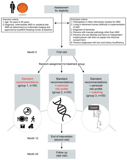 Nutrients Free Full Text Lifestyle Intervention Randomized