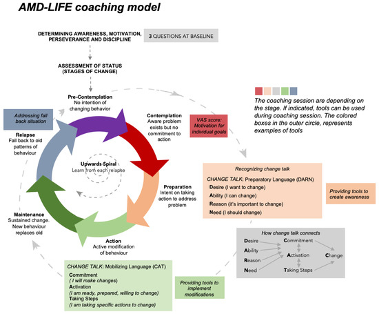 Nutrients Free Full Text Lifestyle Intervention Randomized