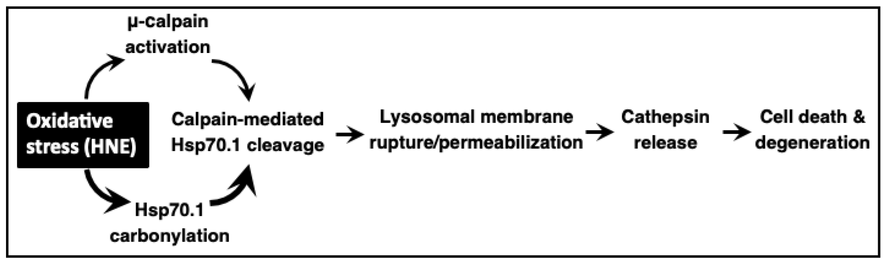Nutrients 15 00609 sch001 Nutrients 15 00609 sch001