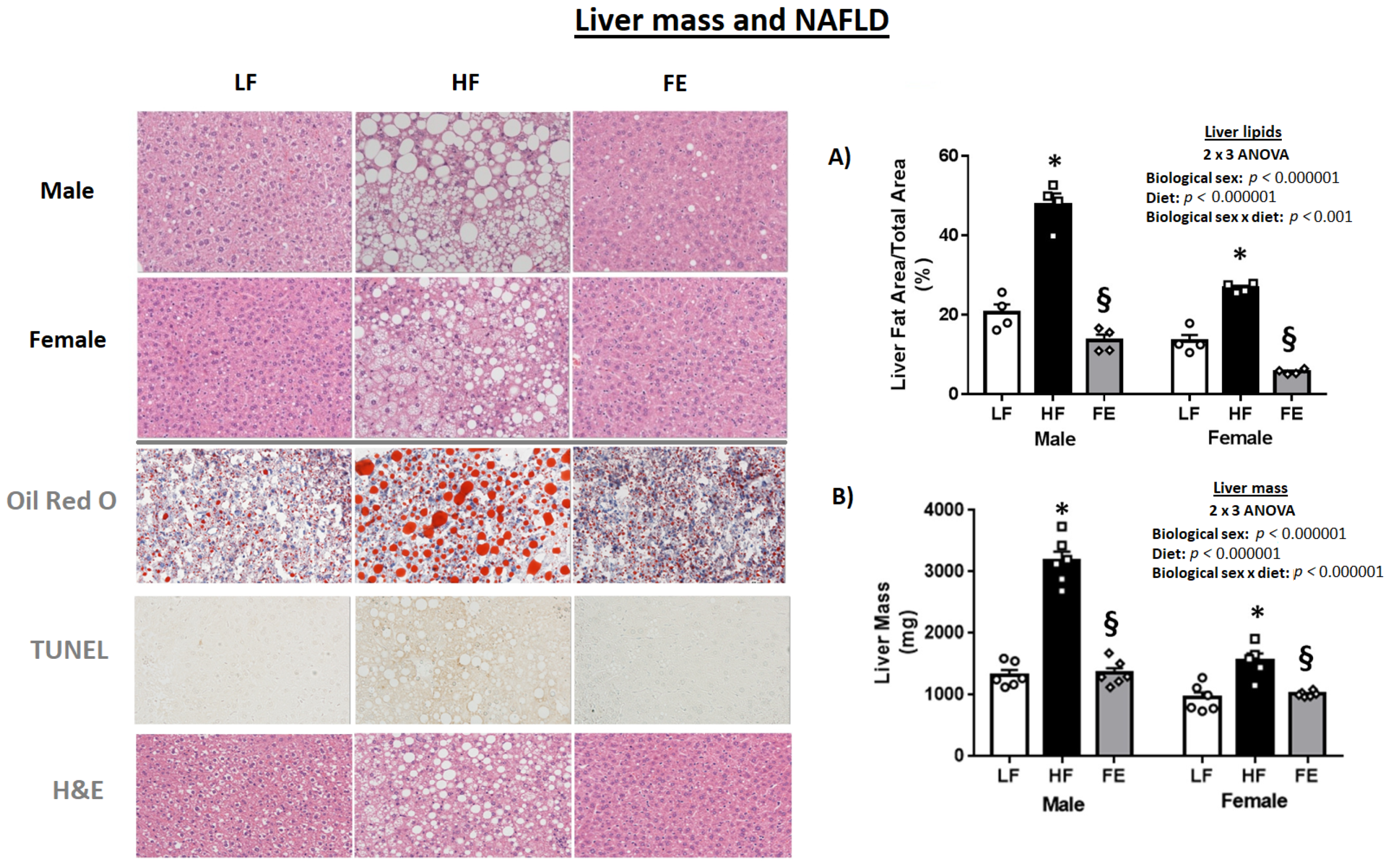 Nutrients 15 00611 g006 Nutrients 15 00611 g006