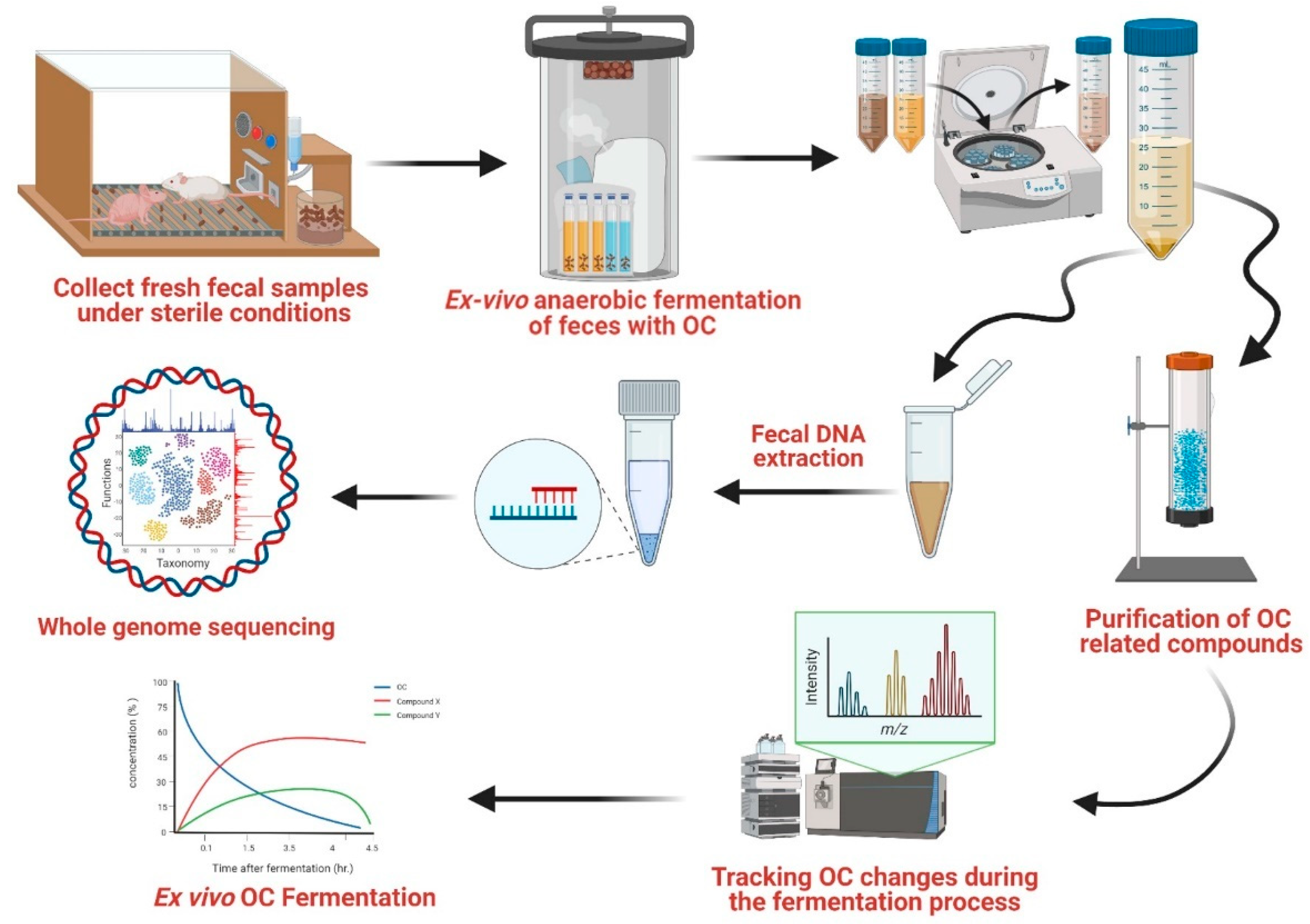 Nutrients 15 00618 g001