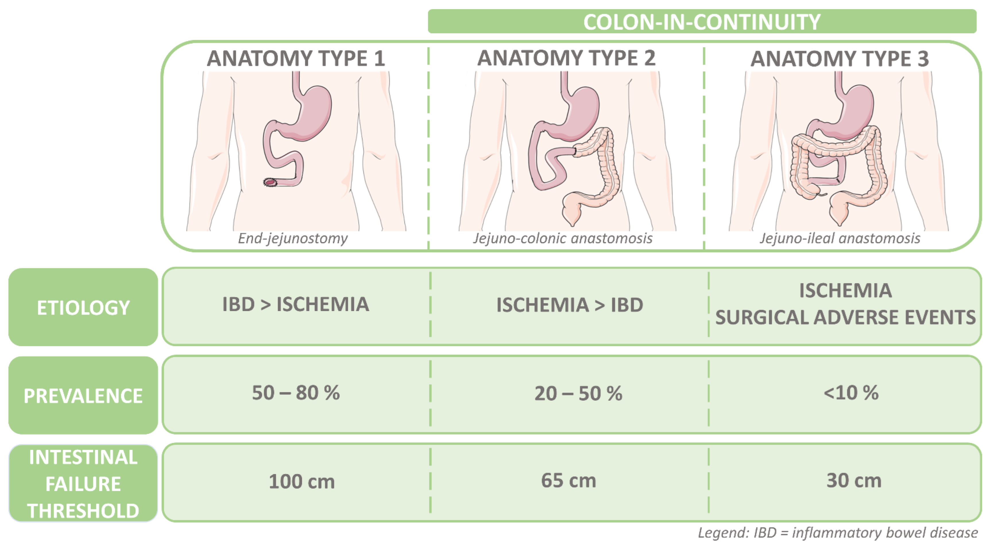 Nutrients | Free Full-Text | The Role of a Colon-in-Continuity in Short  Bowel Syndrome