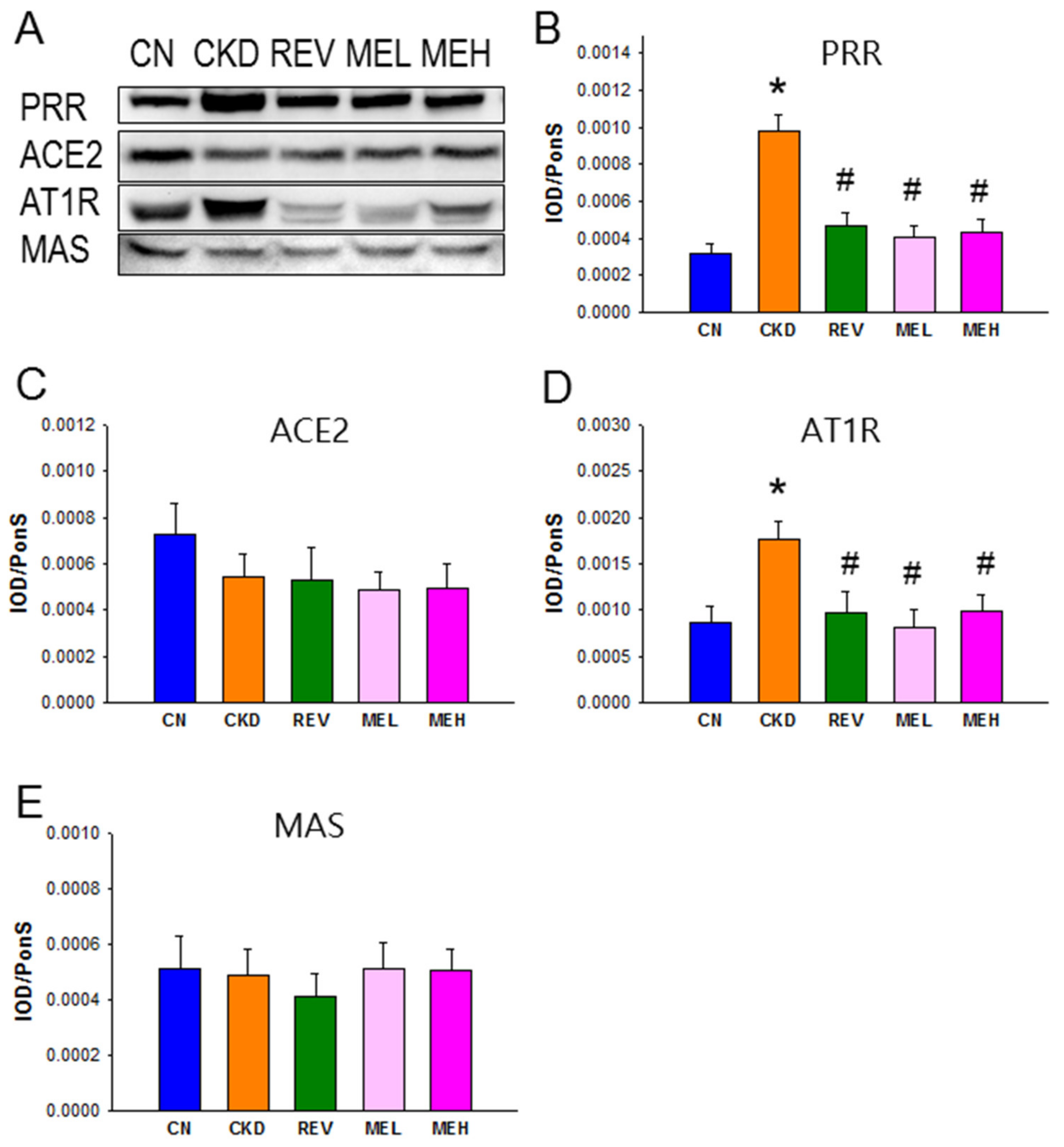 Nutrients 15 00635 g003