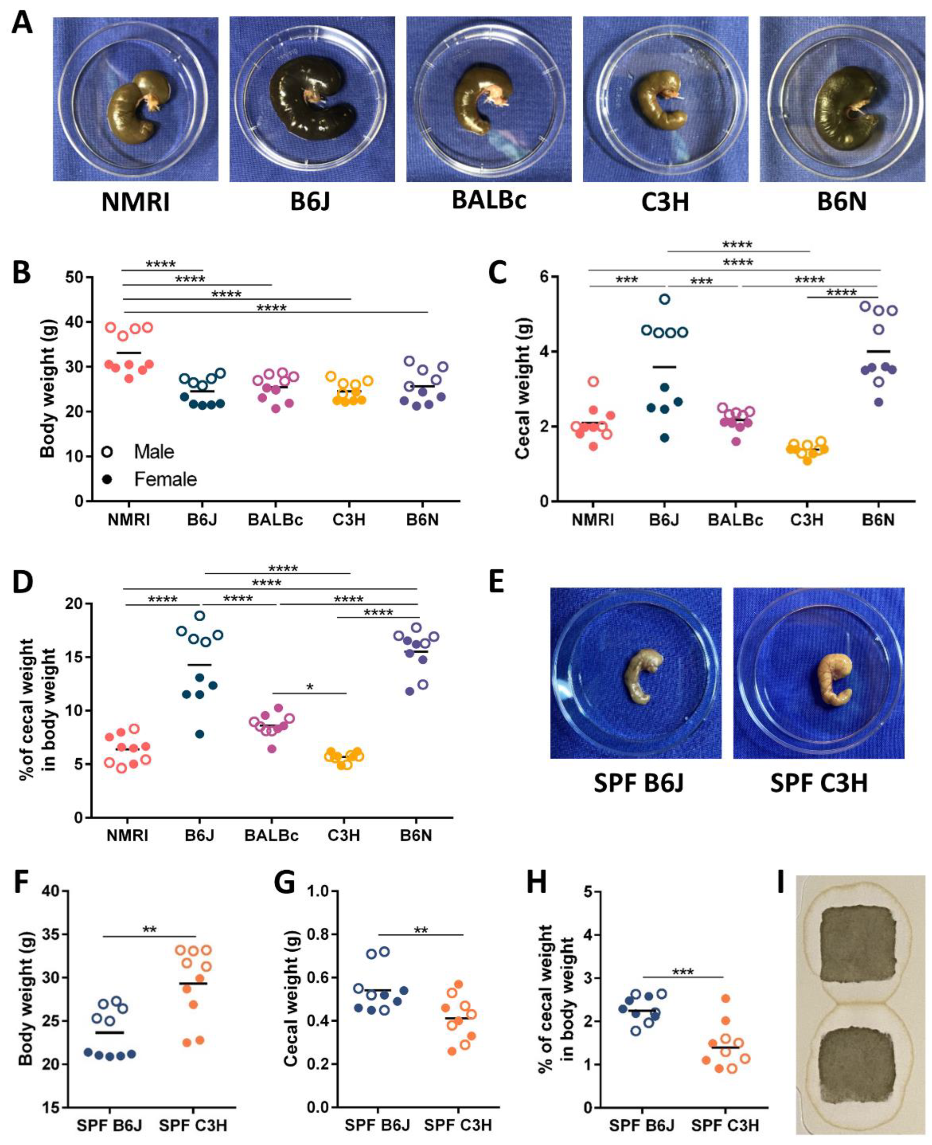 Nutrients 15 00636 g001