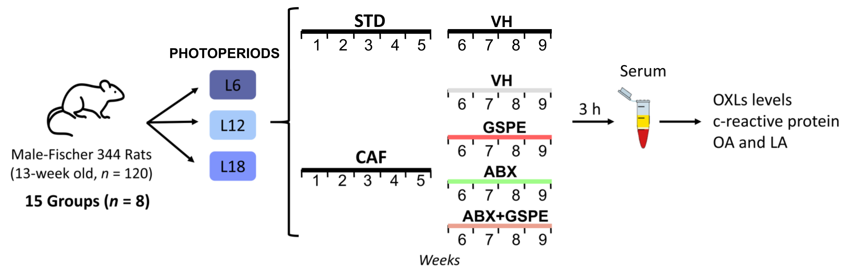 Nutrients 15 00707 g001