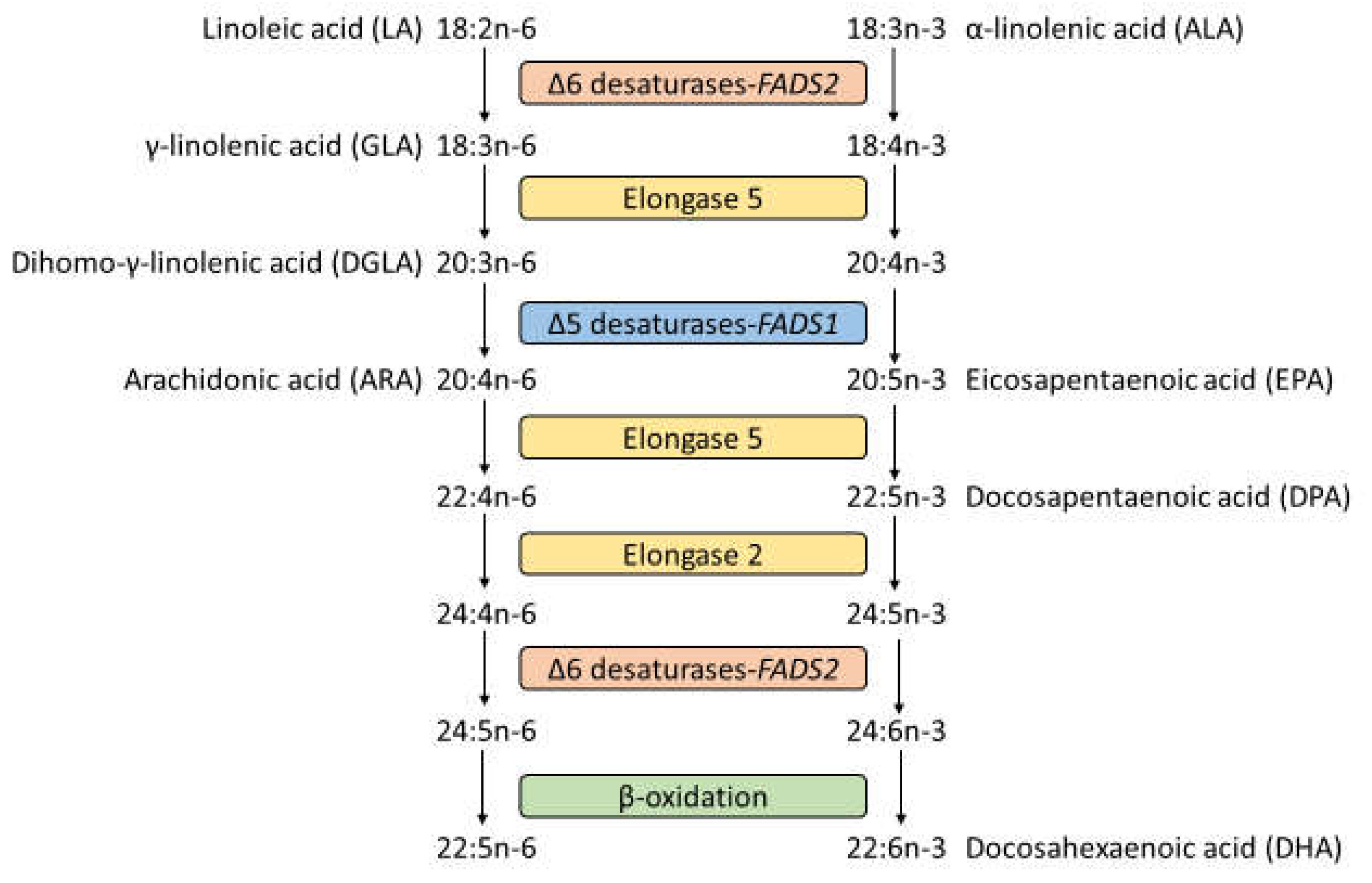Nutrients 15 00722 g001