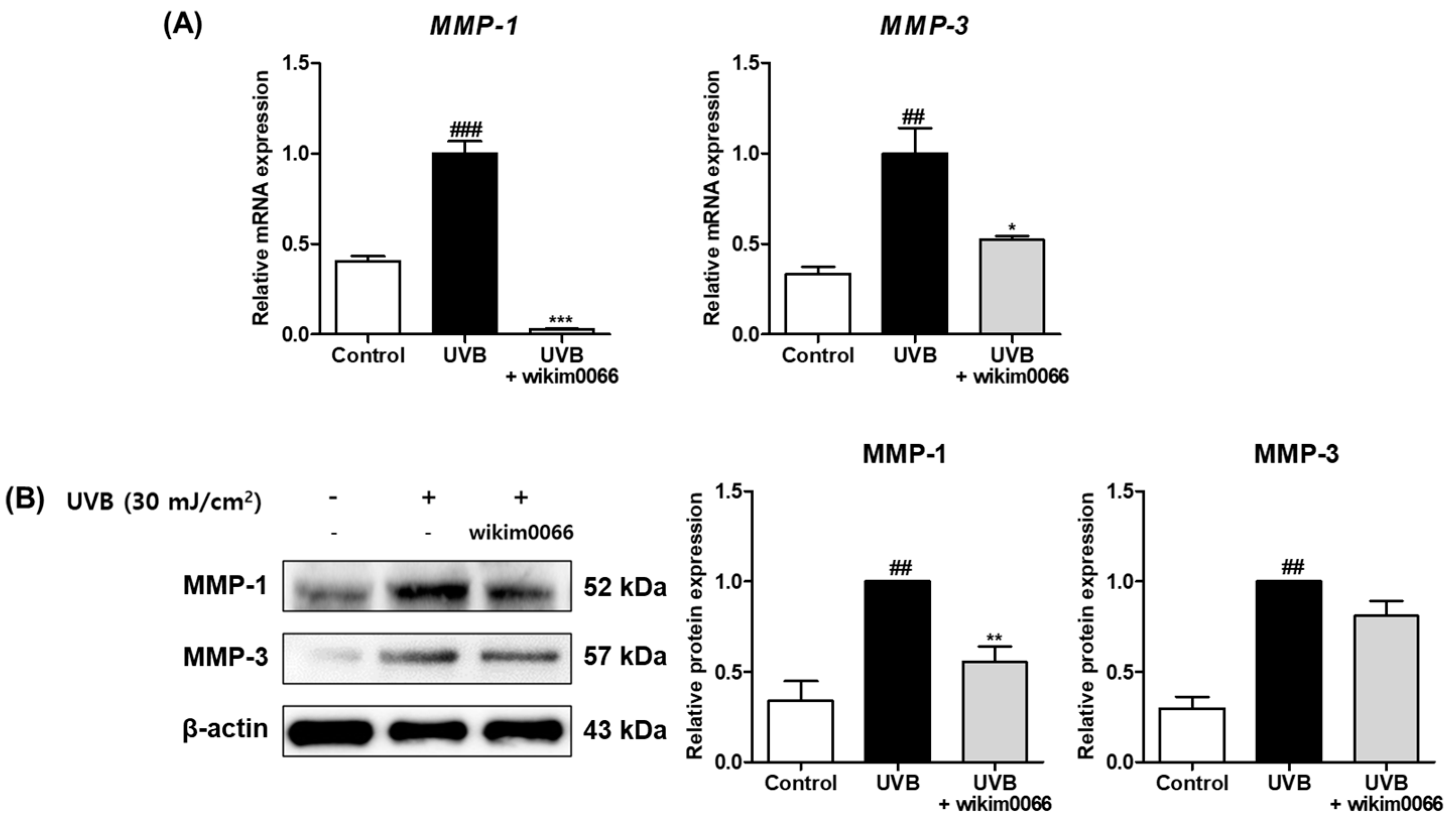 Nutrients 15 00726 g003 Nutrients 15 00726 g003