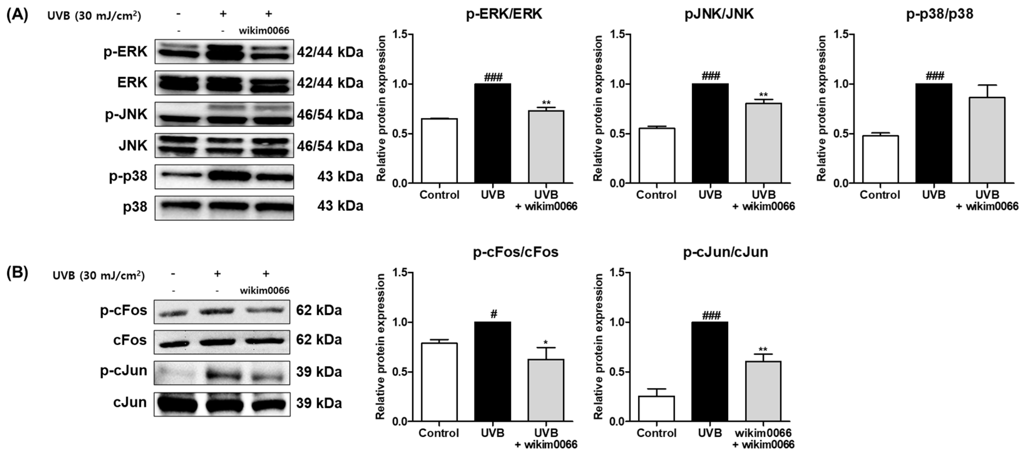 Nutrients 15 00726 g004 Nutrients 15 00726 g004