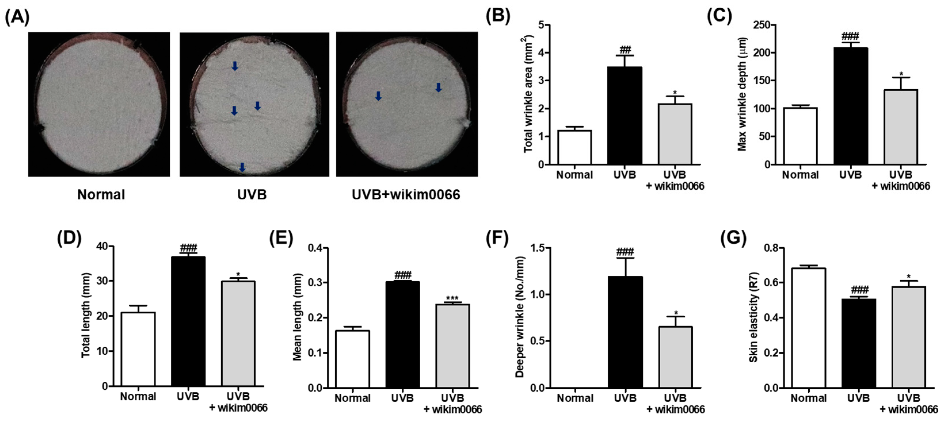 Nutrients 15 00726 g005 Nutrients 15 00726 g005