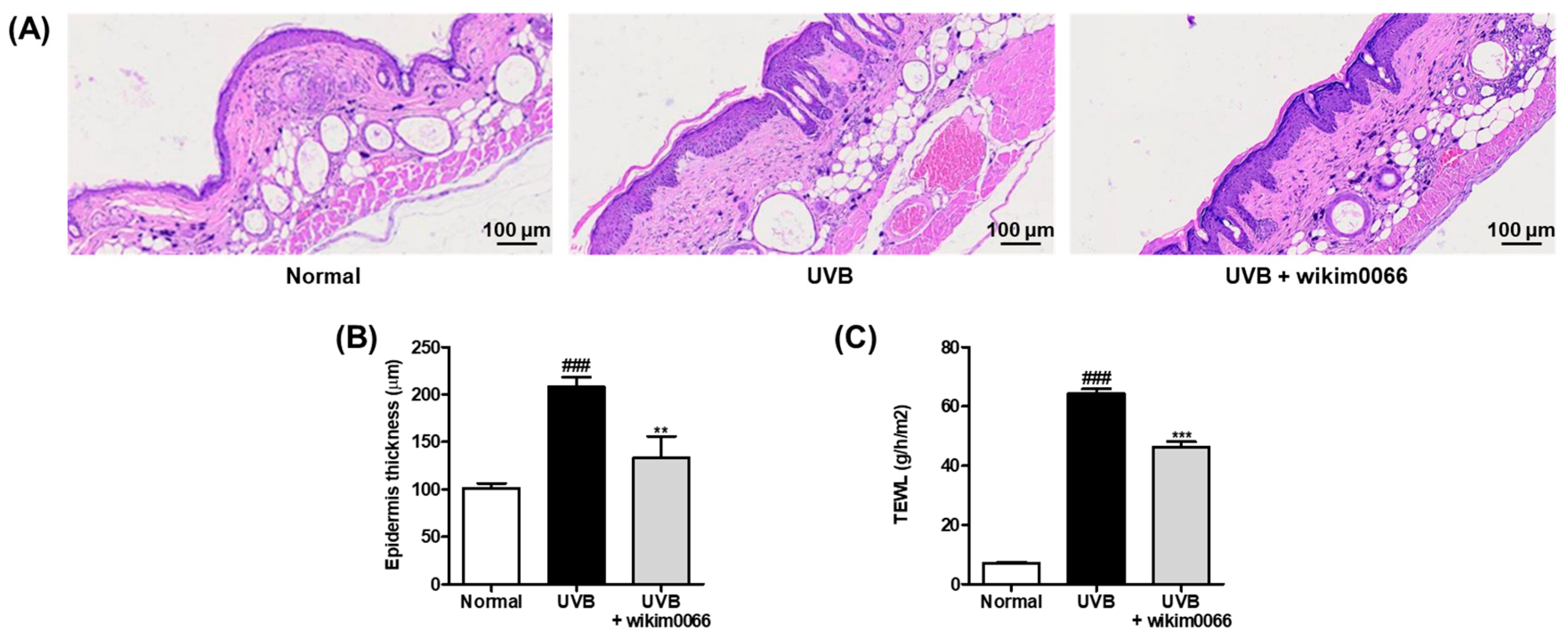 Nutrients 15 00726 g006 Nutrients 15 00726 g006