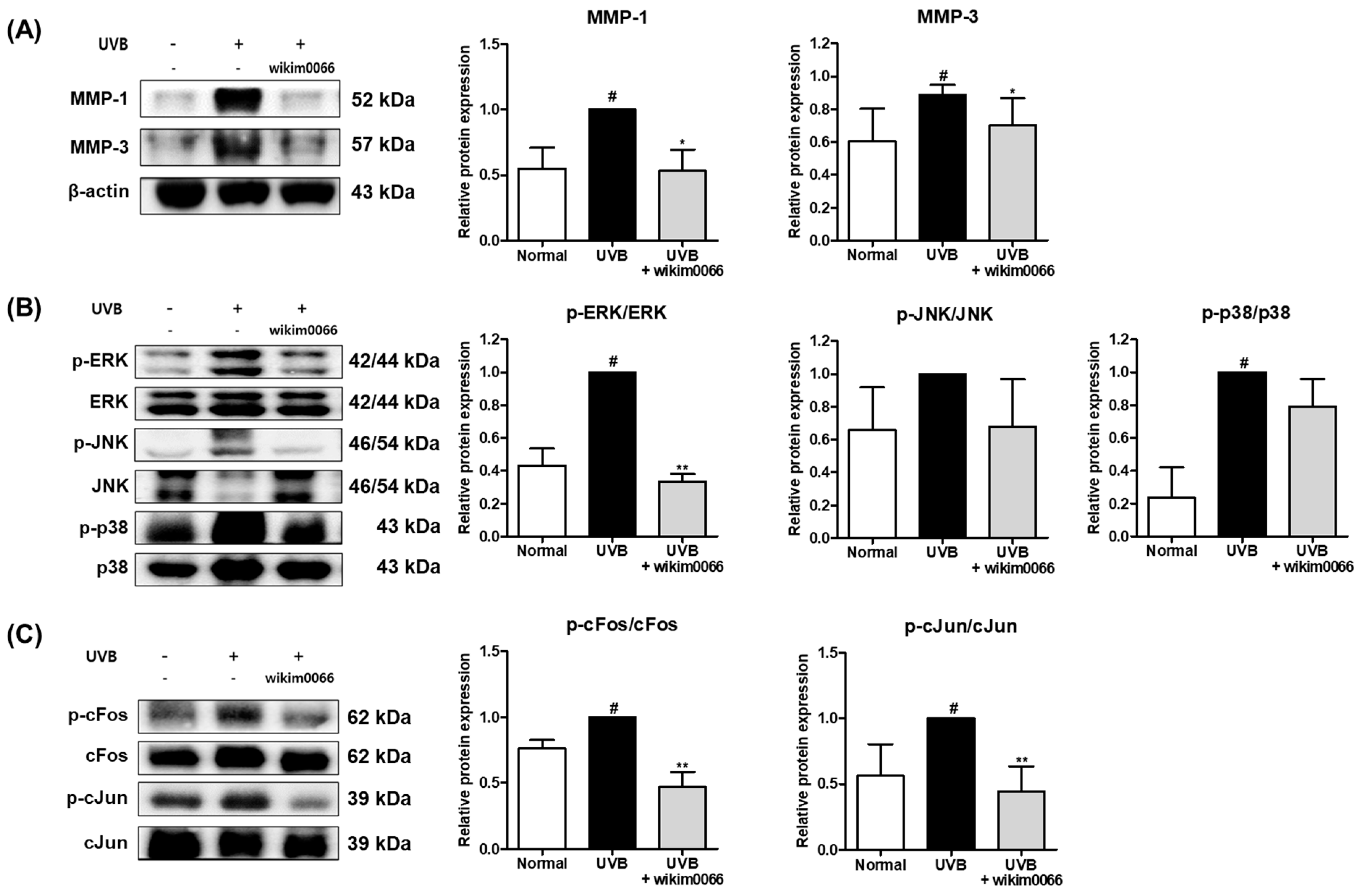 Nutrients 15 00726 g008 Nutrients 15 00726 g008