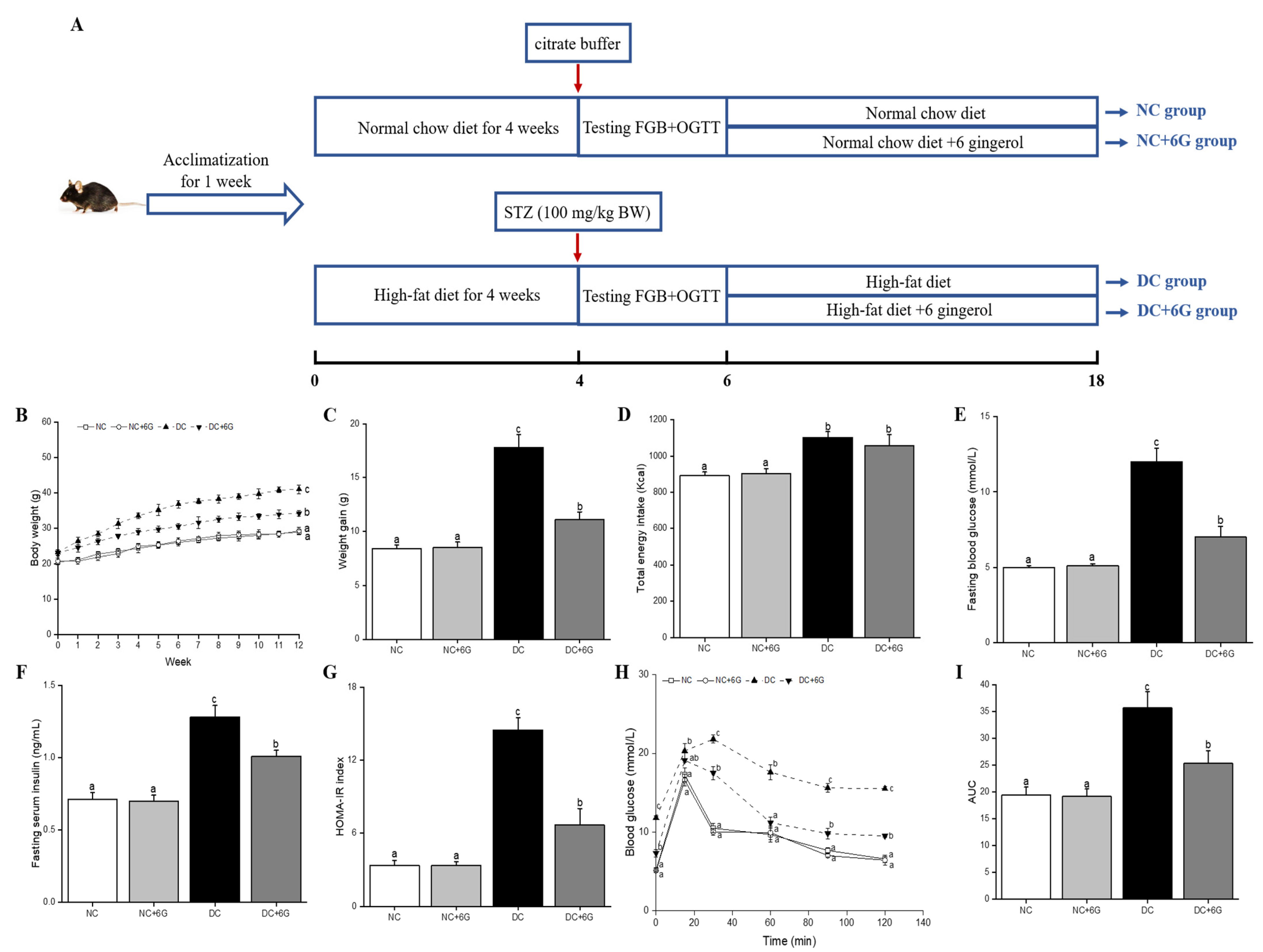 Nutrients 15 00824 g001