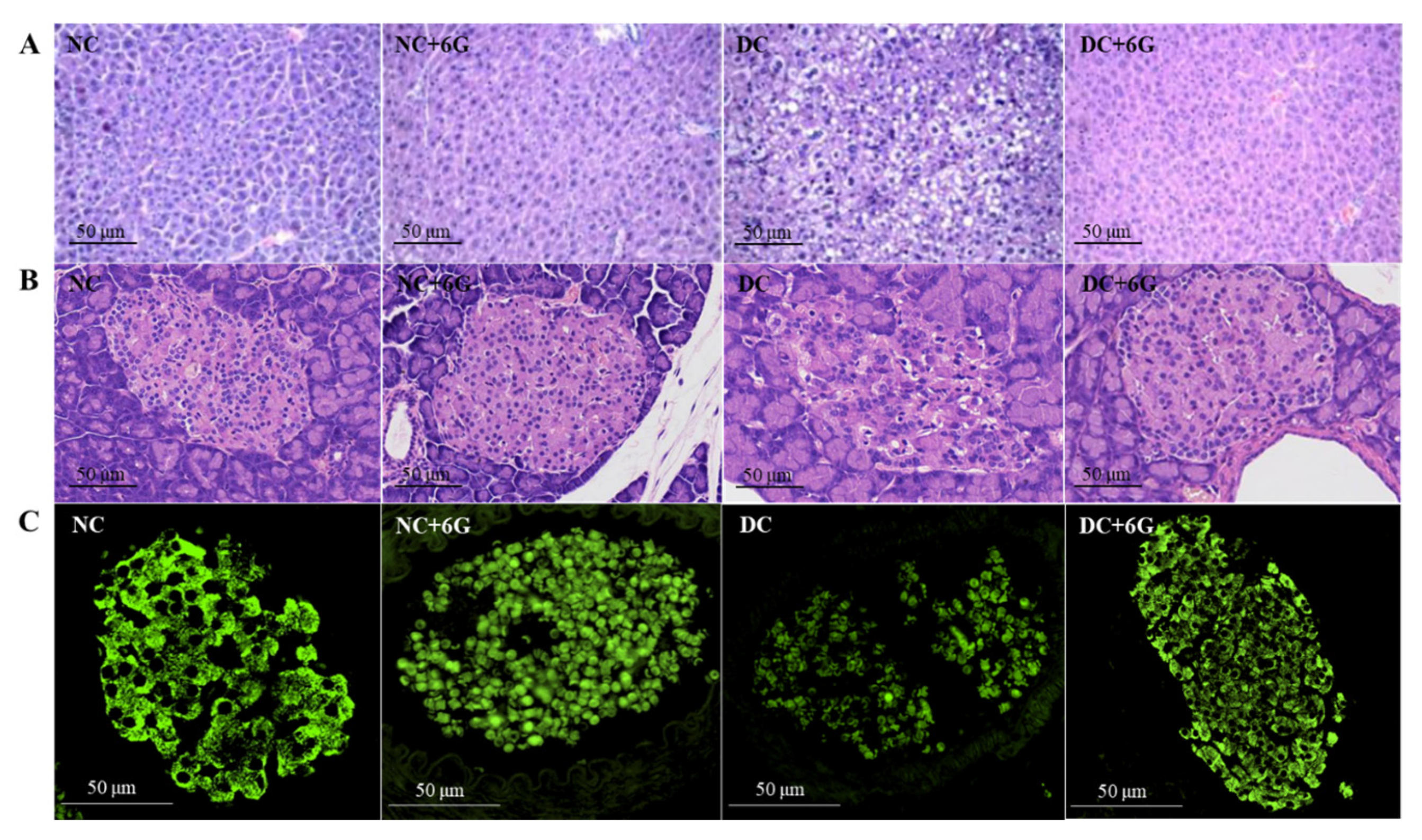 Nutrients 15 00824 g002