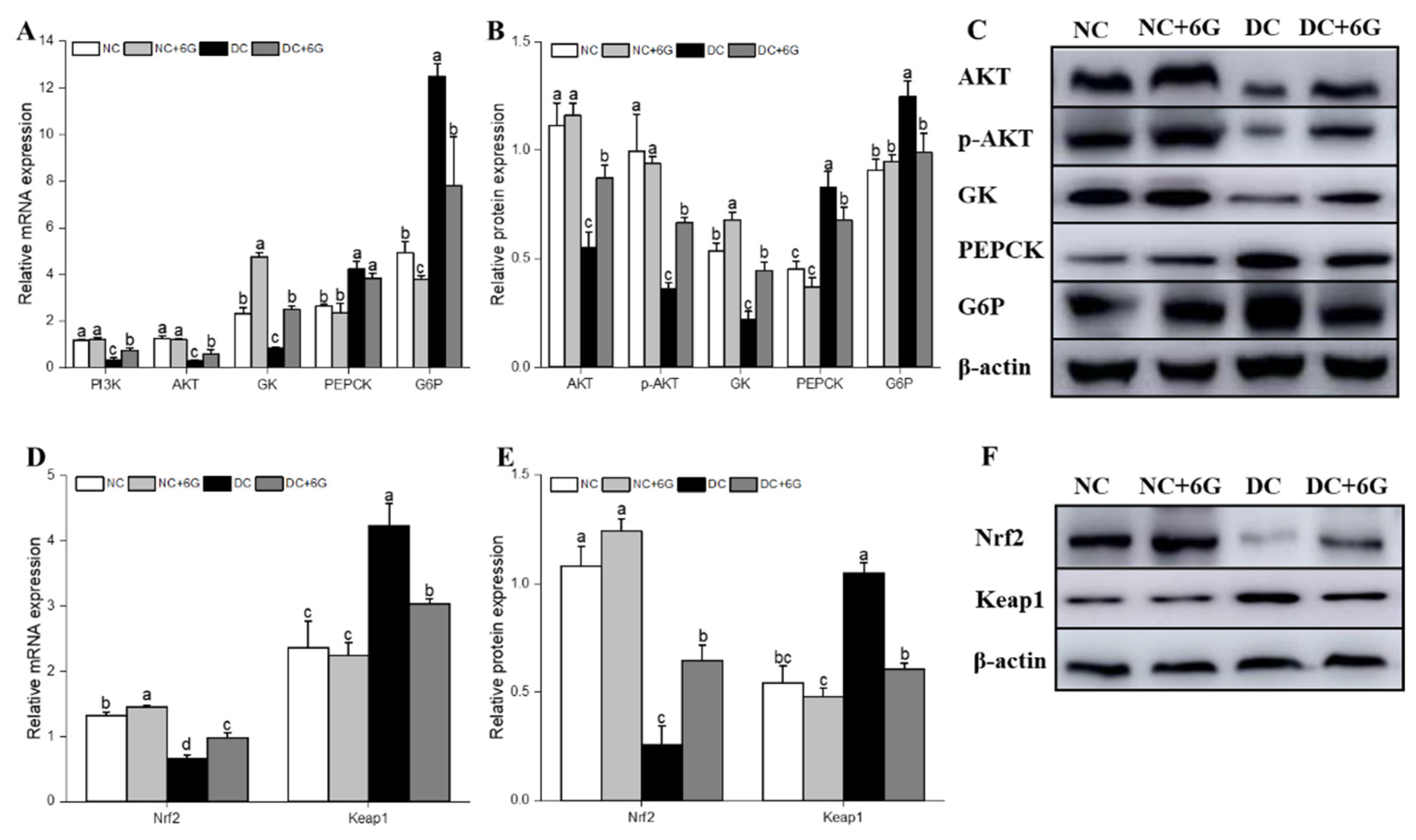 Nutrients 15 00824 g003